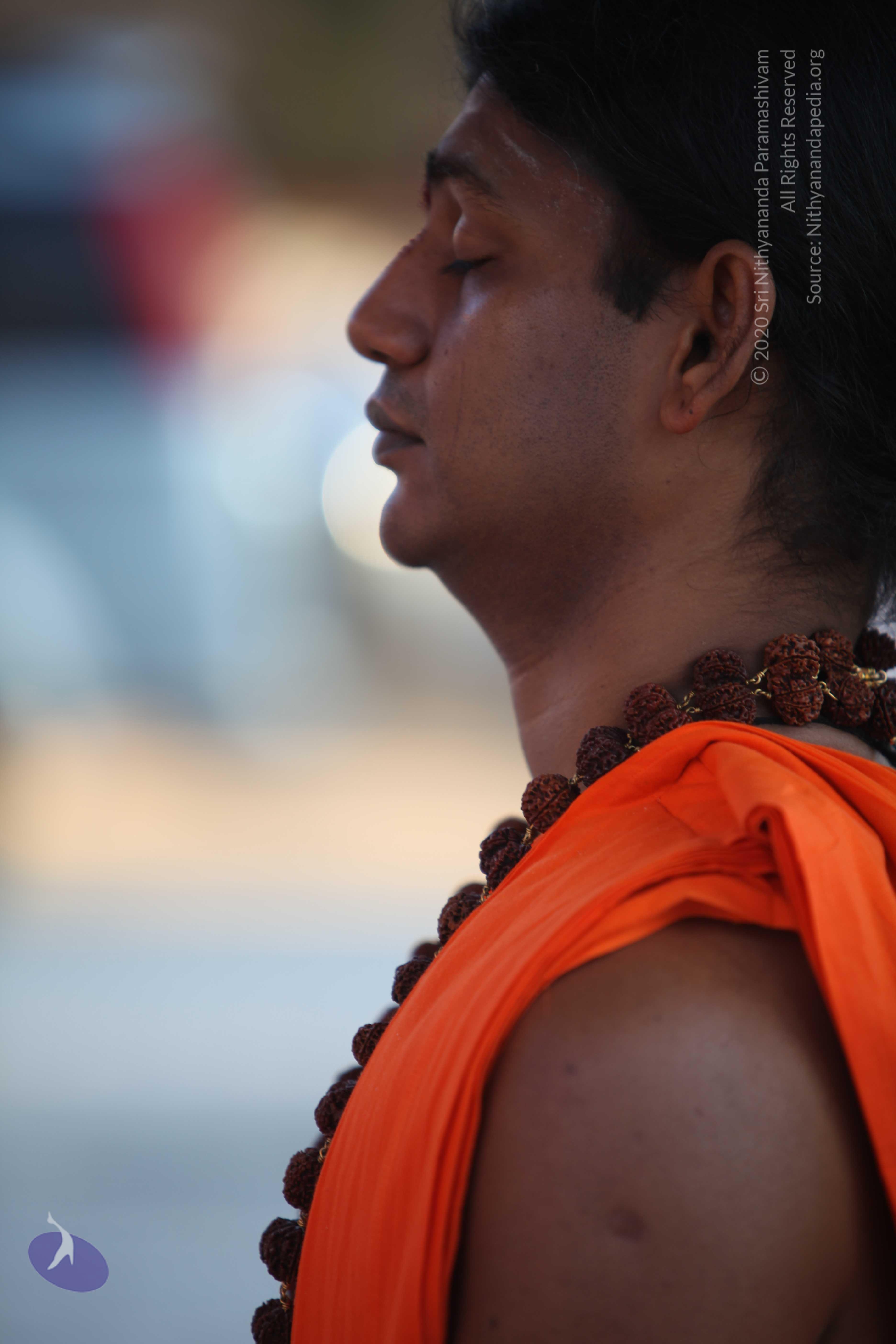 20110201_Photo_1131_IMG_2423_CMP_WM