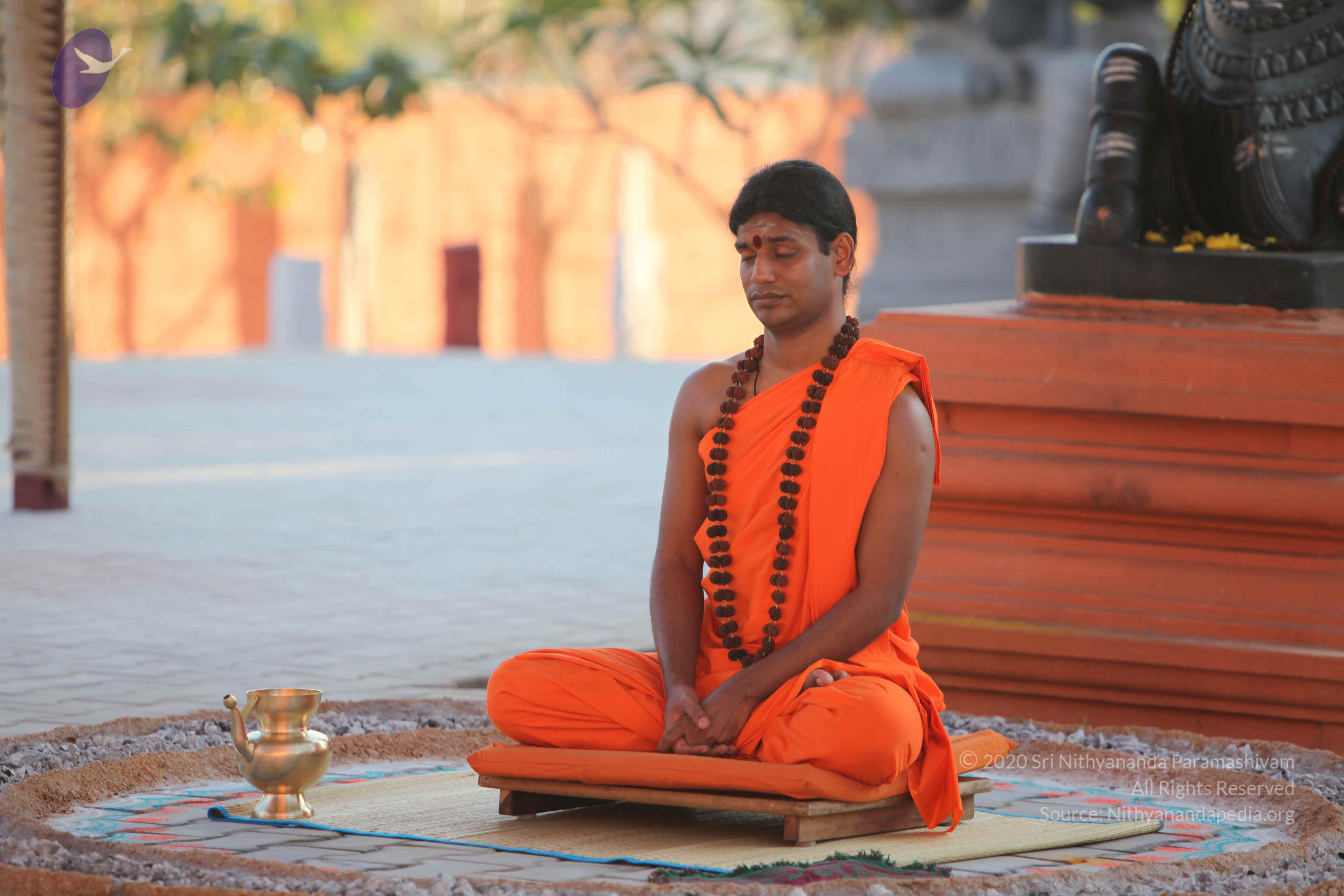 20110201_Photo_1134_IMG_2555_CMP_WM