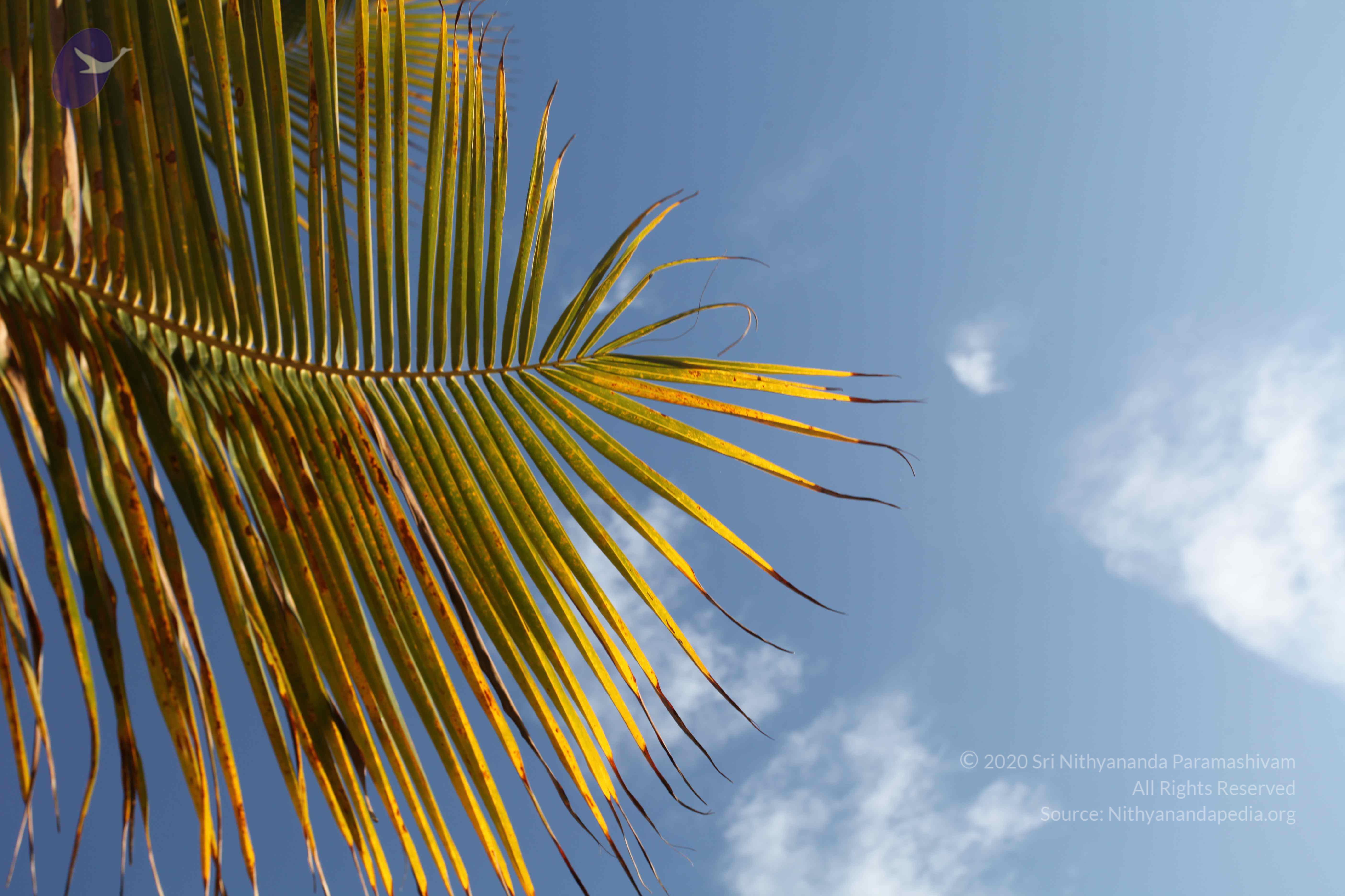 20110201_Photo_1135_IMG_2562_CMP_WM