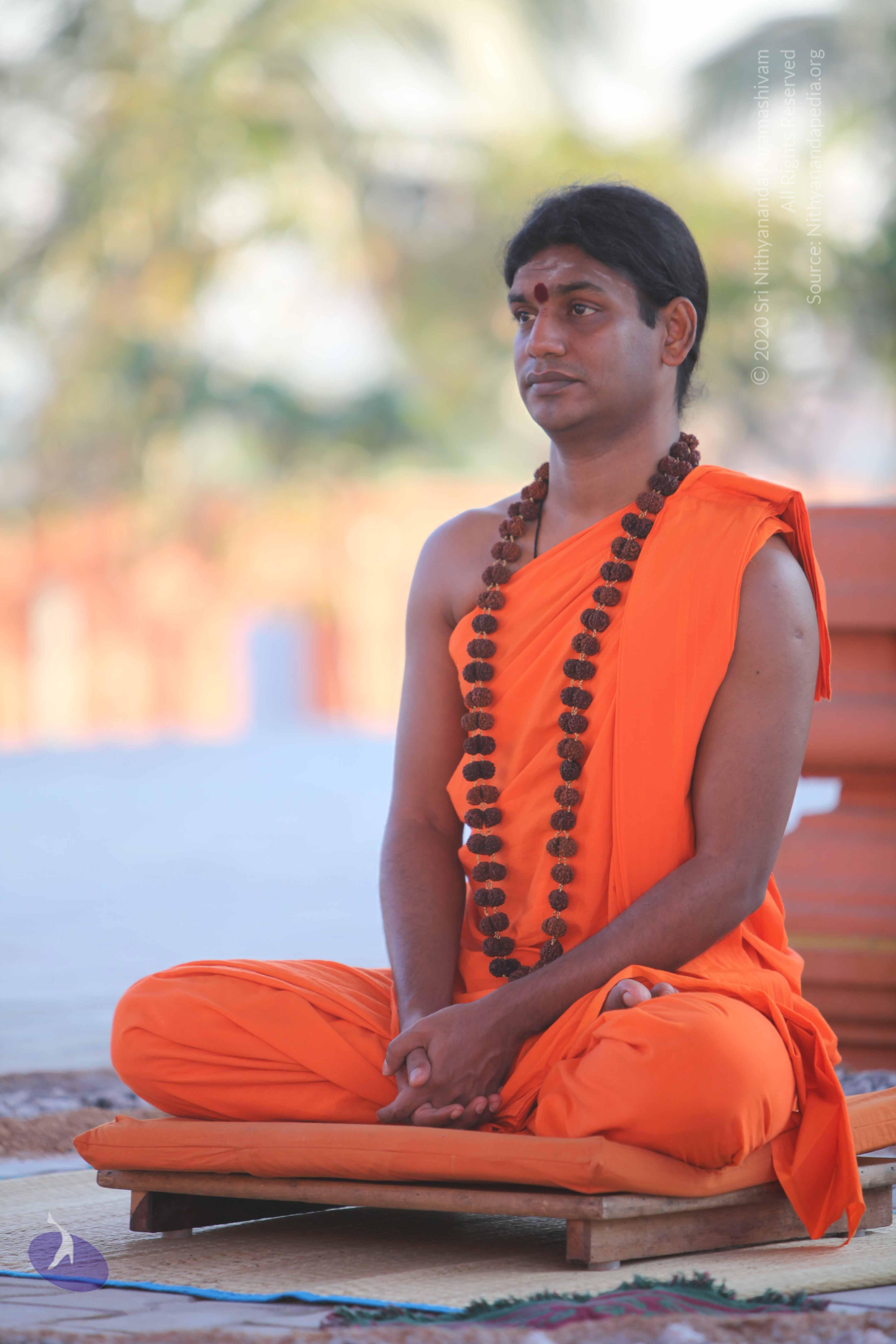 20110201_Photo_1137_IMG_2476_CMP_WM