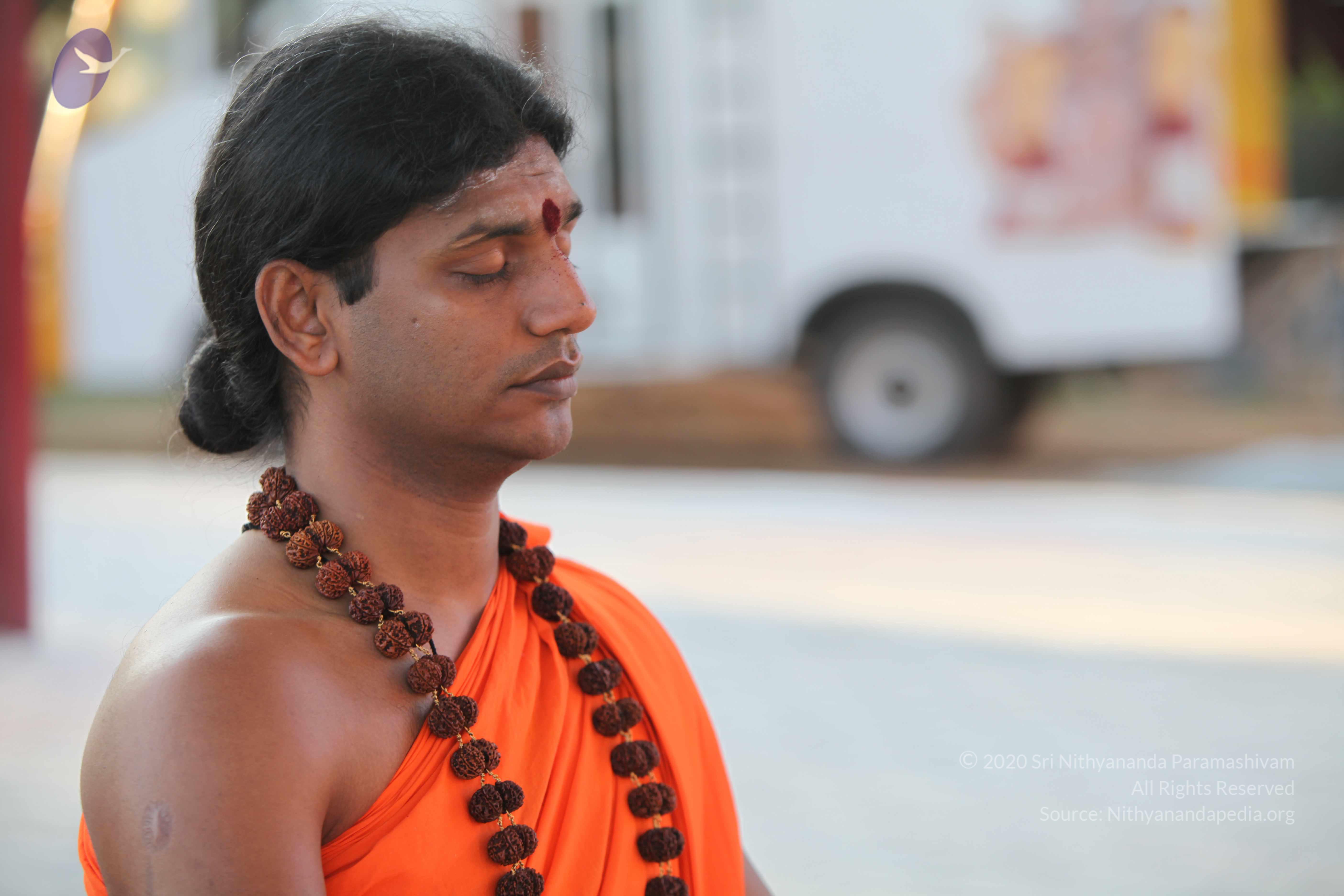 20110201_Photo_1139_IMG_2389_CMP_WM