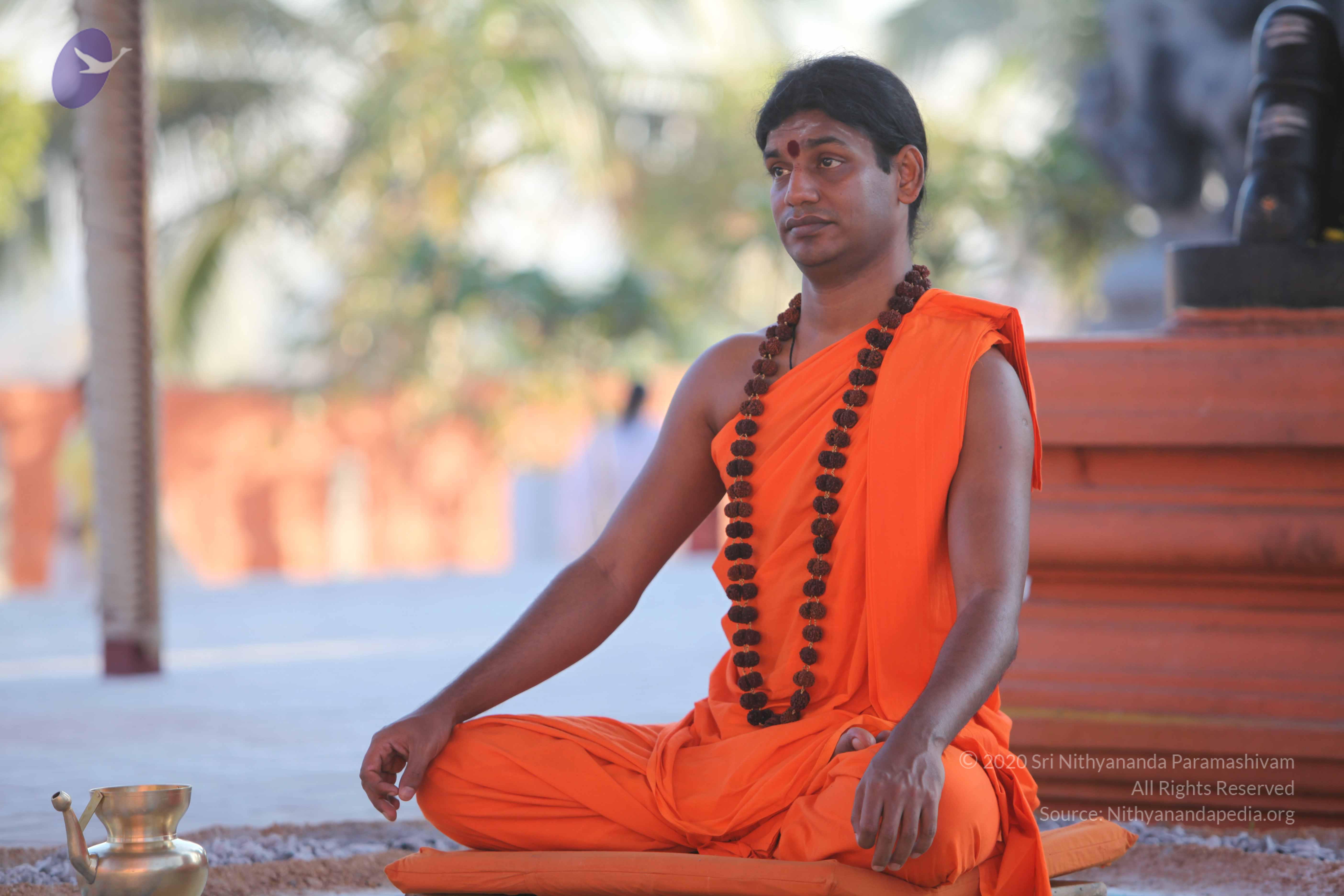 20110201_Photo_1142_IMG_2530_CMP_WM