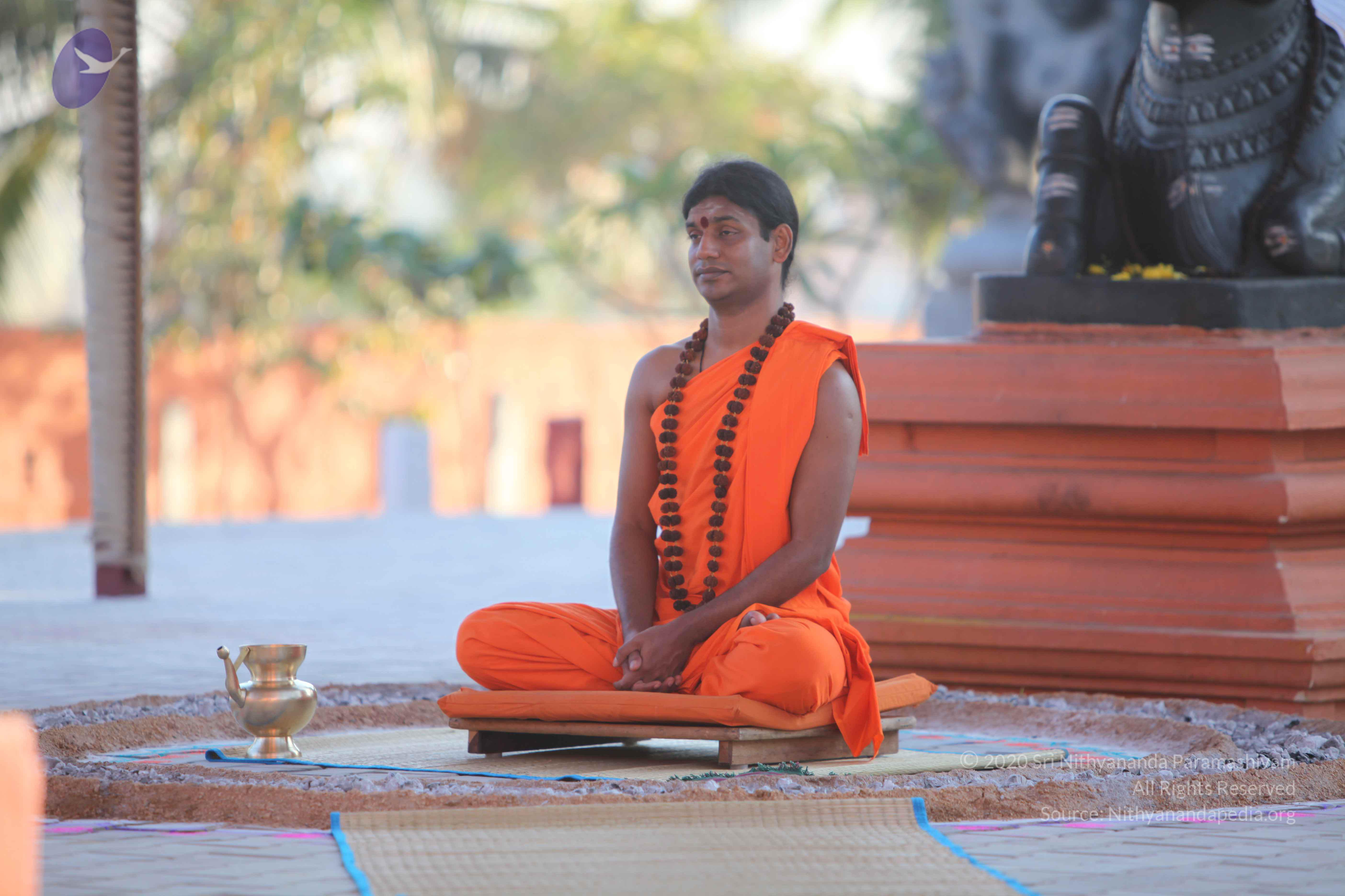 20110201_Photo_1145_IMG_2471_CMP_WM