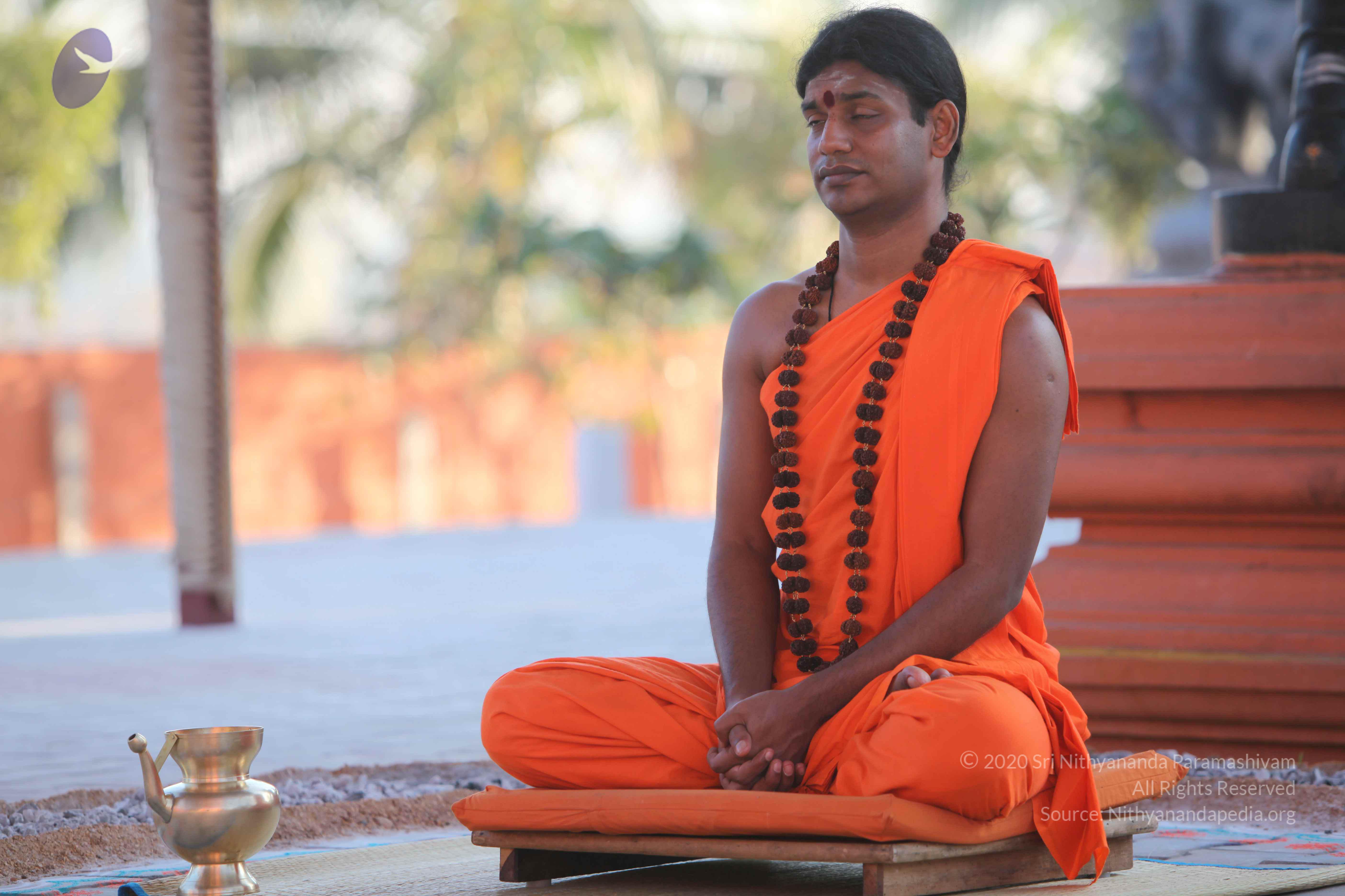 20110201_Photo_1147_IMG_2492_CMP_WM