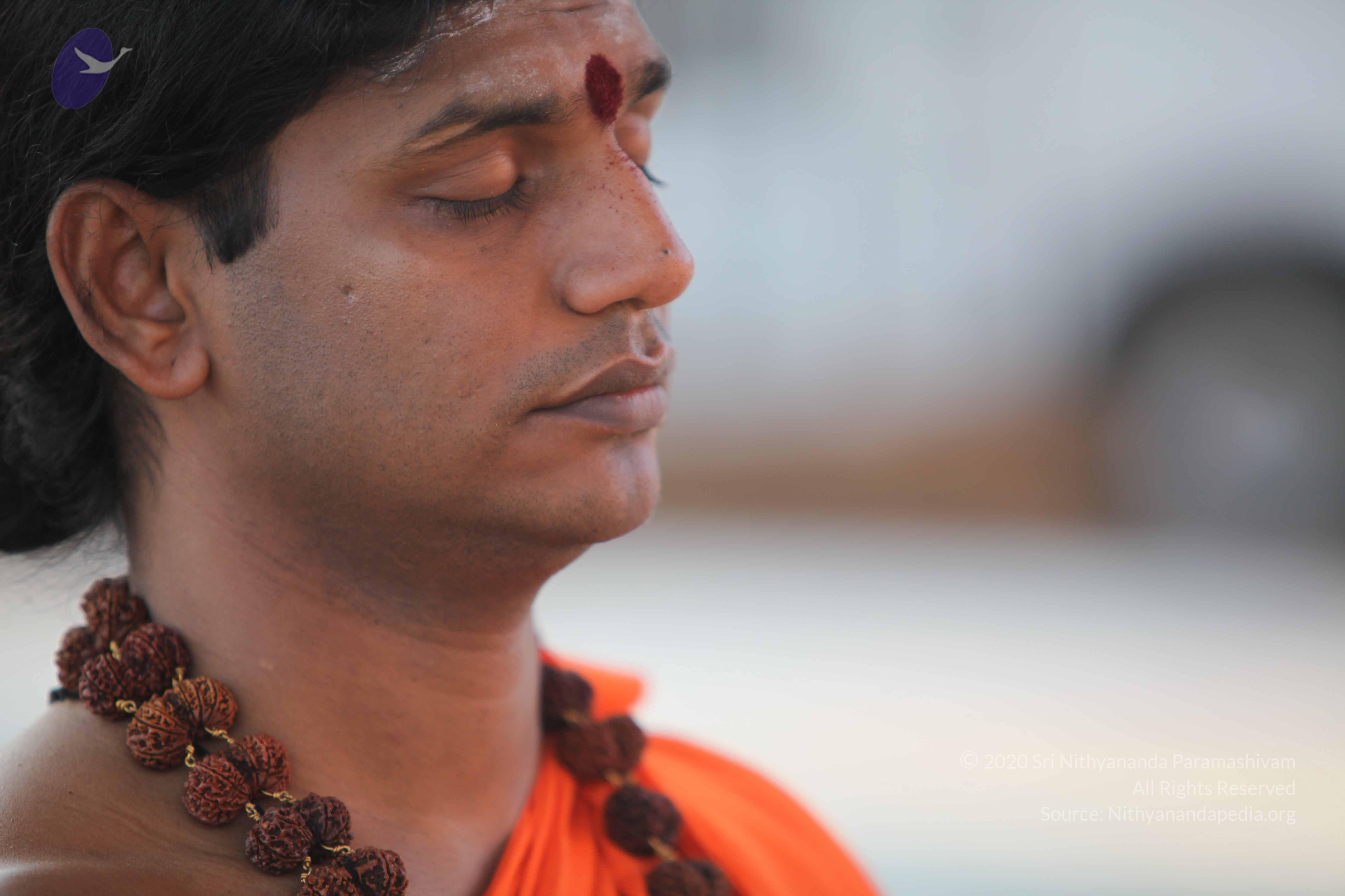 20110201_Photo_1148_IMG_2392_CMP_WM