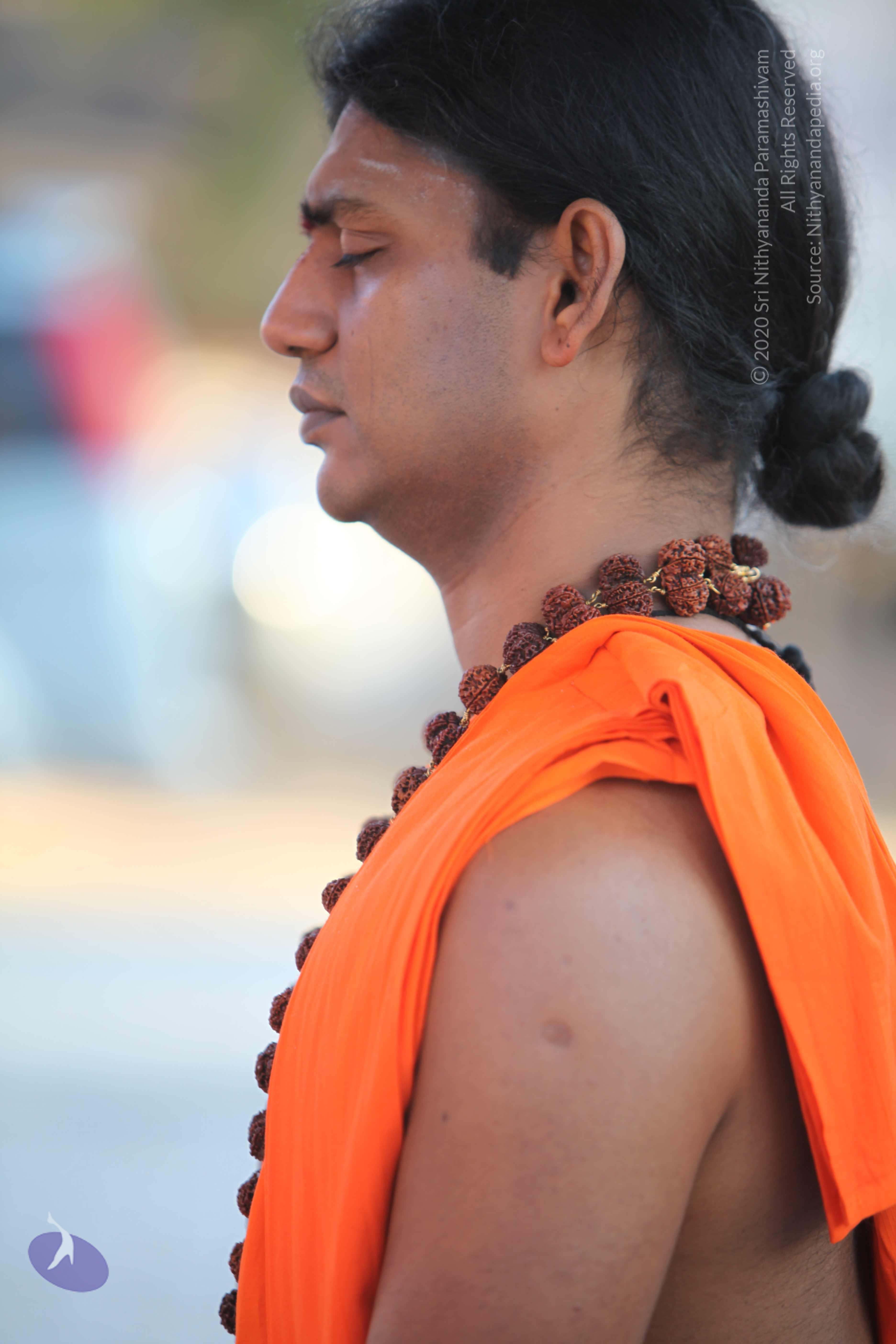 20110201_Photo_1150_IMG_2429_CMP_WM