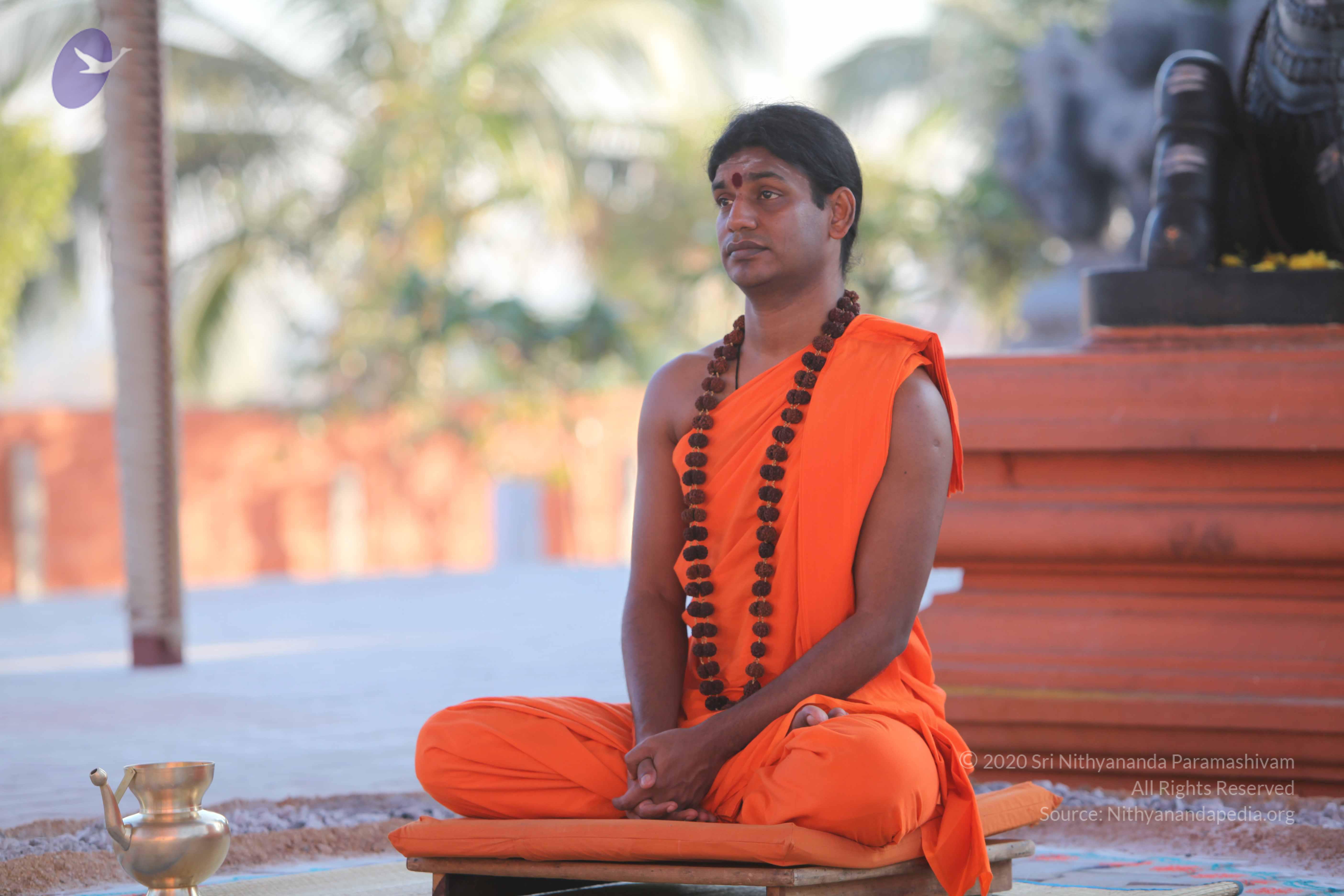 20110201_Photo_1155_IMG_2516_CMP_WM