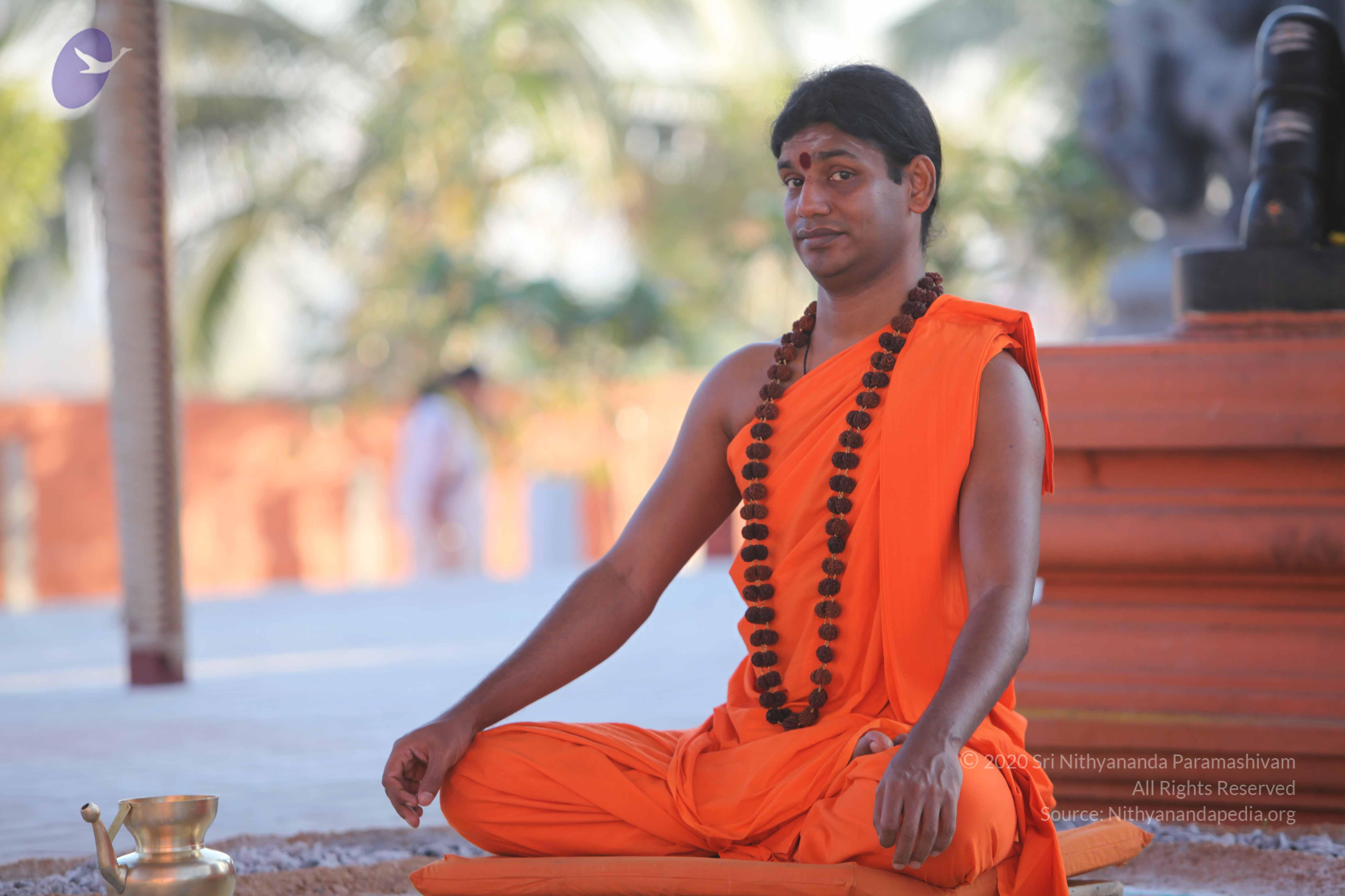 20110201_Photo_1156_IMG_2521_CMP_WM