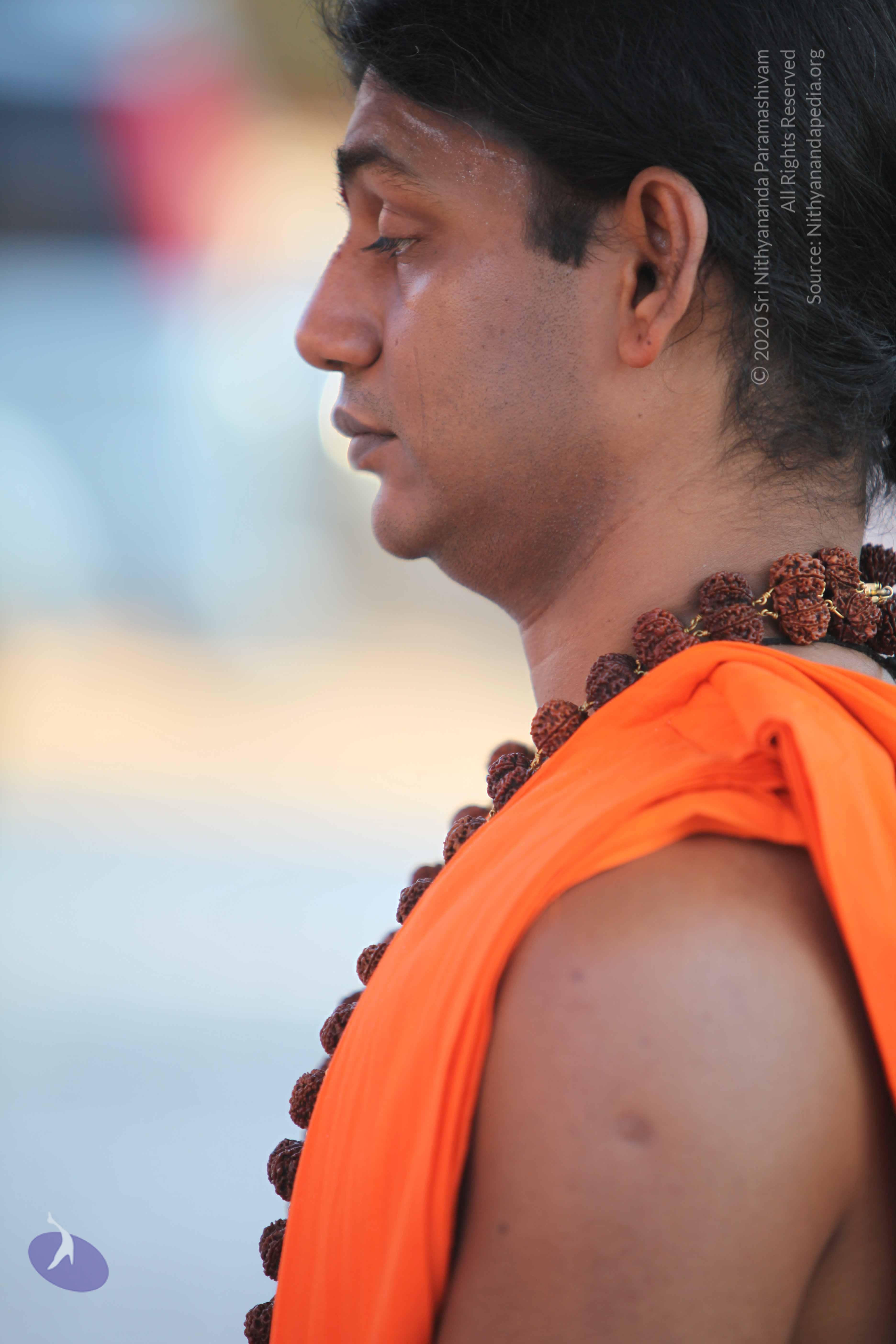 20110201_Photo_1175_IMG_2421_CMP_WM