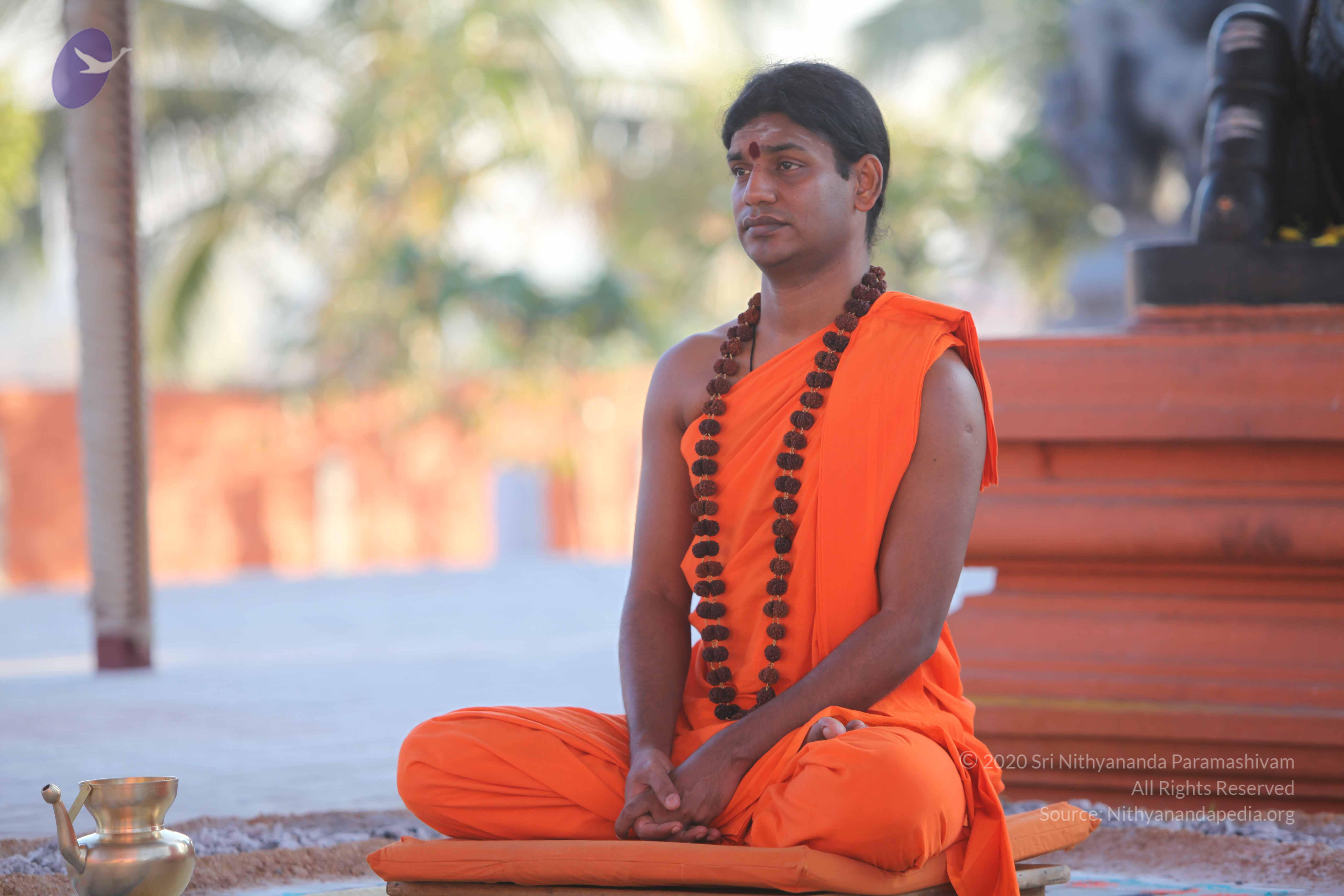 20110201_Photo_1180_IMG_2497_CMP_WM