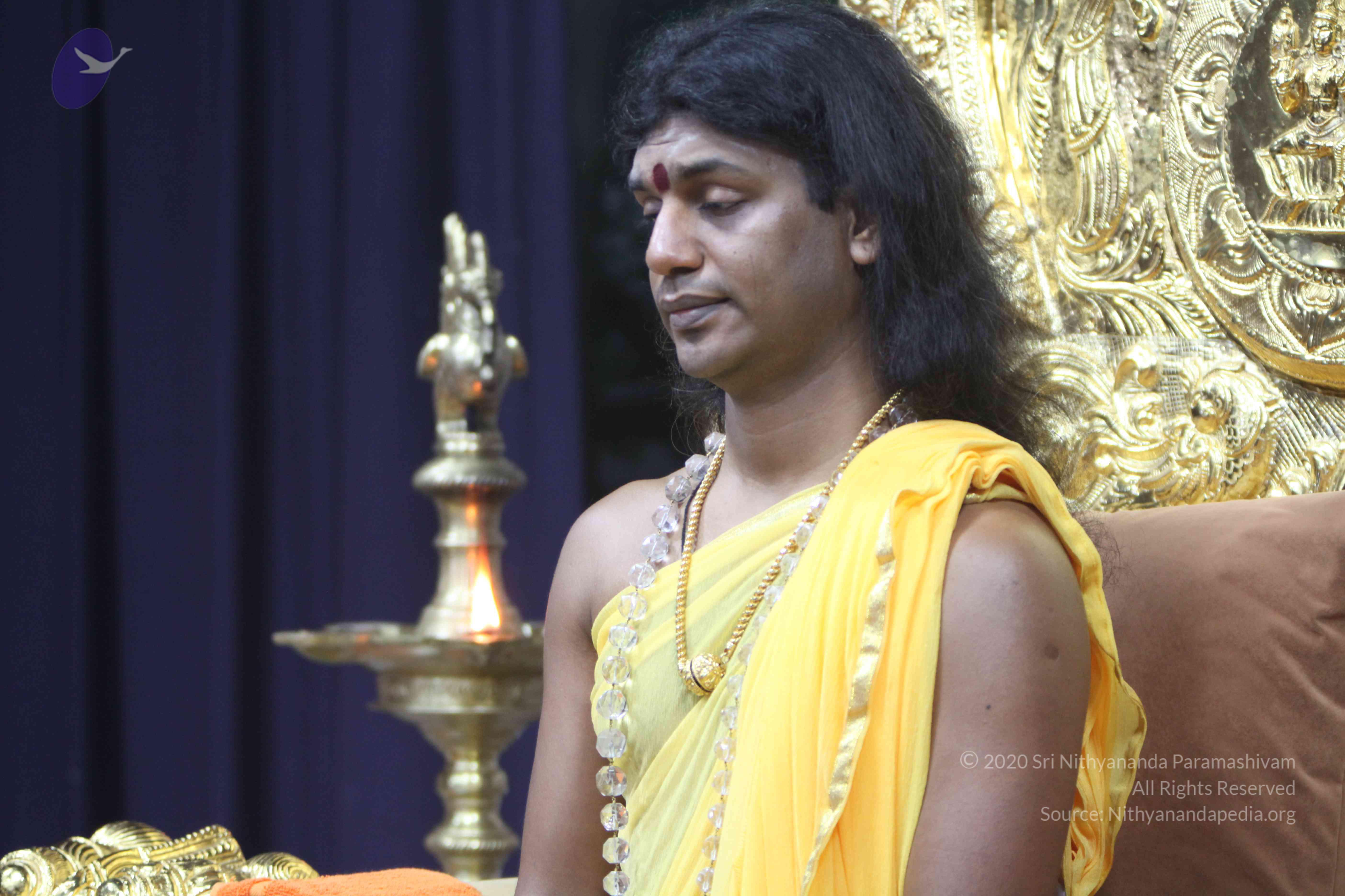 20110201_Photo_1002_IMG_2591_CMP_WM