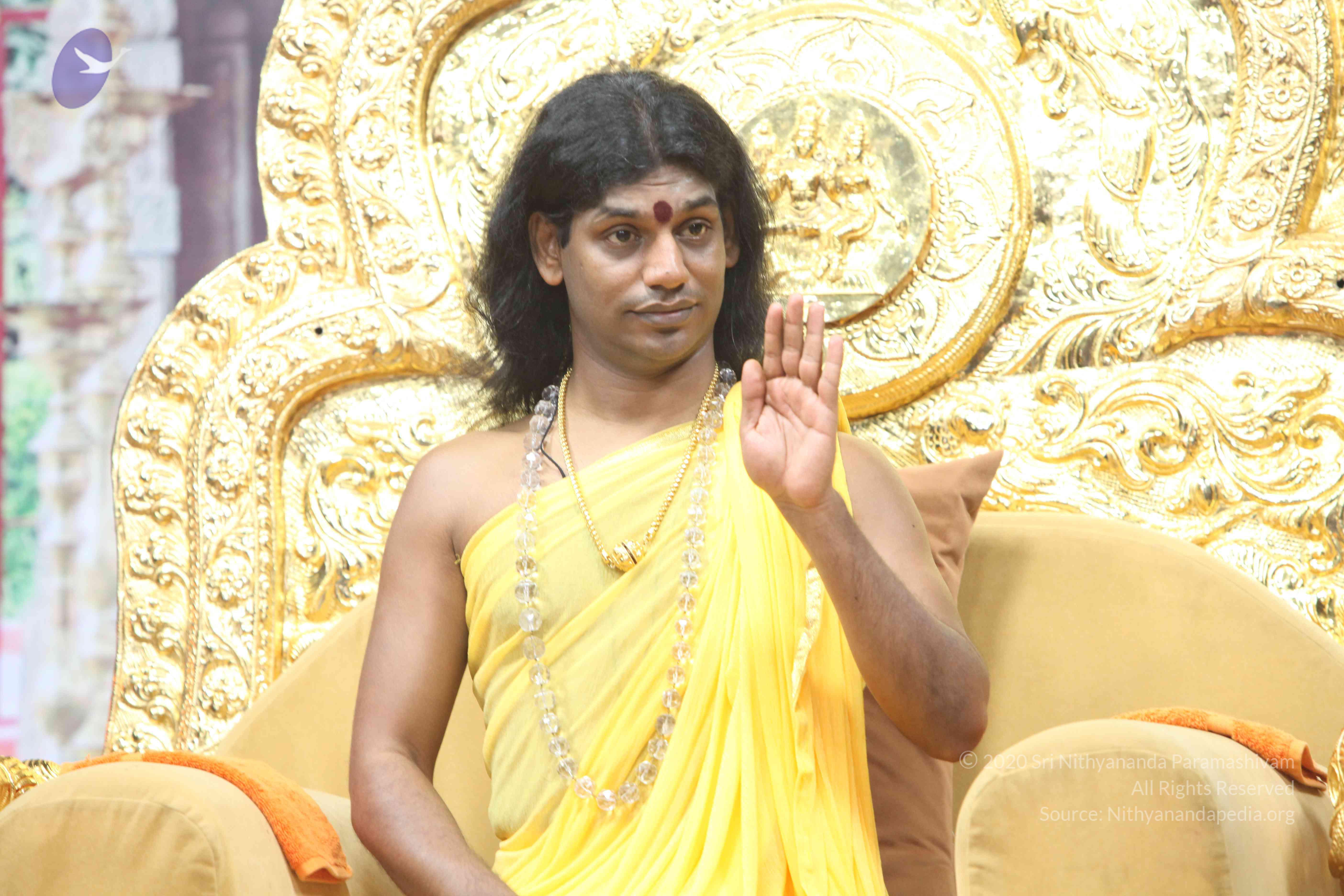 20110201_Photo_1012_IMG_2605_CMP_WM