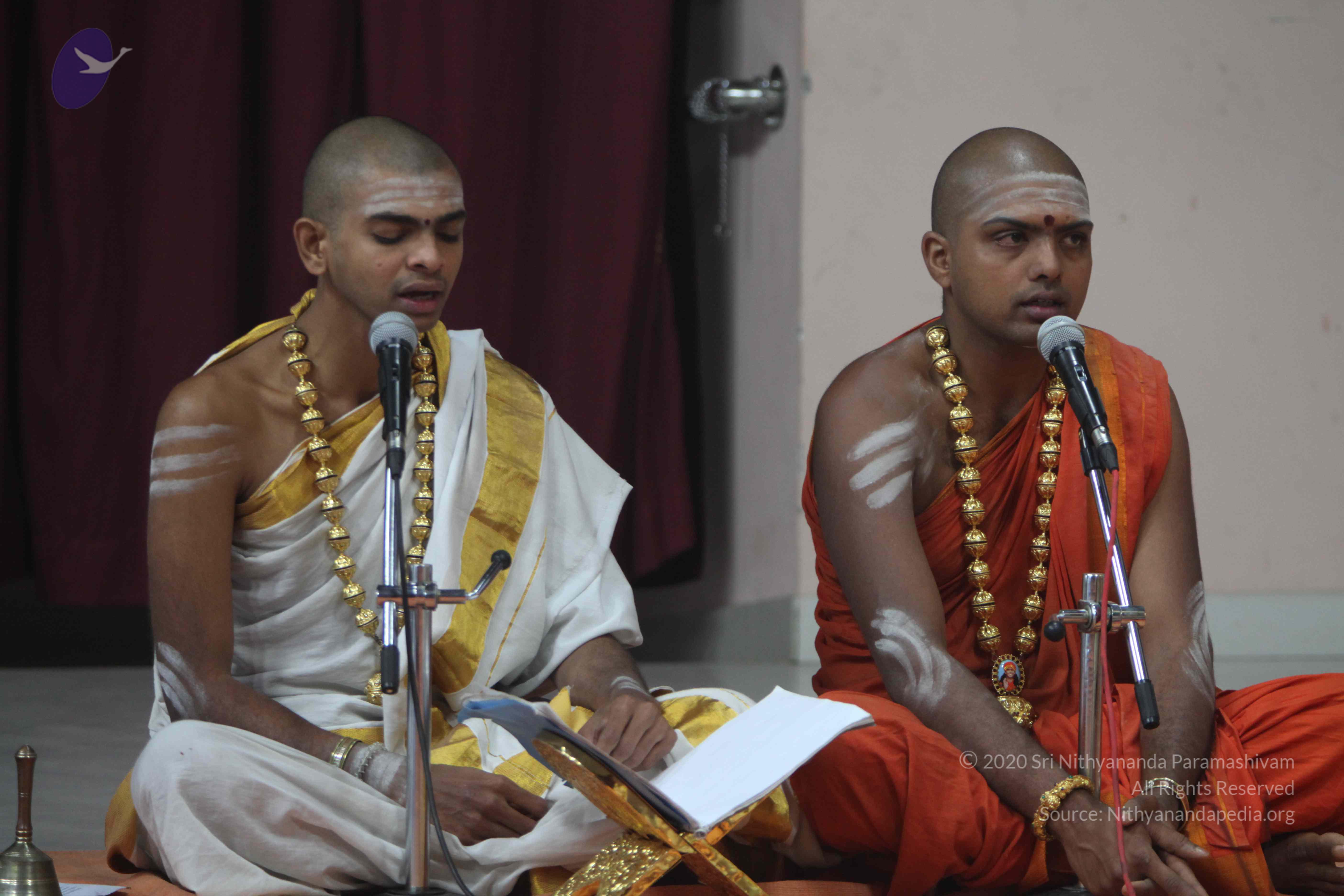 20110201_Photo_1041_IMG_2592_CMP_WM