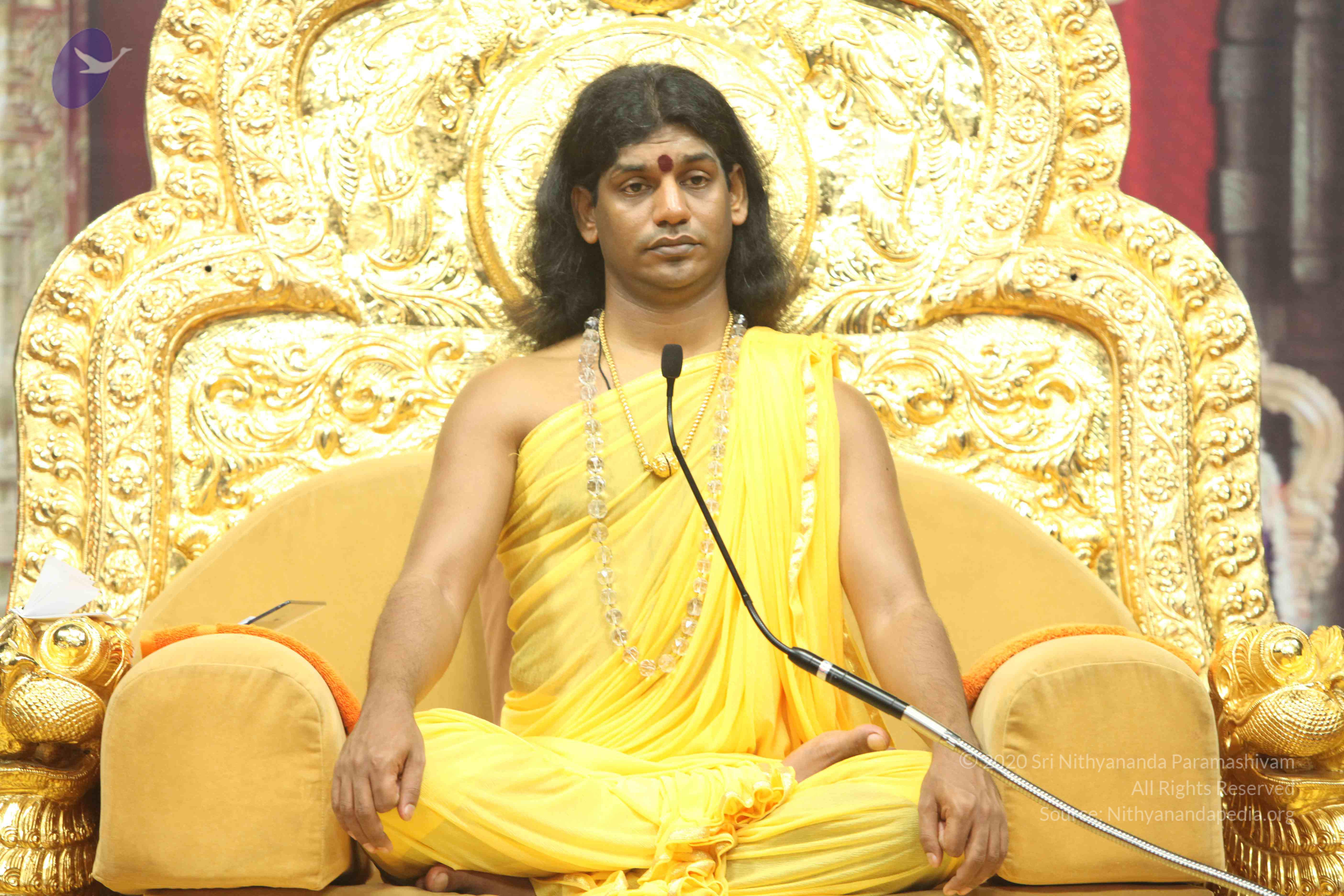 20110201_Photo_1013_IMG_2628_CMP_WM