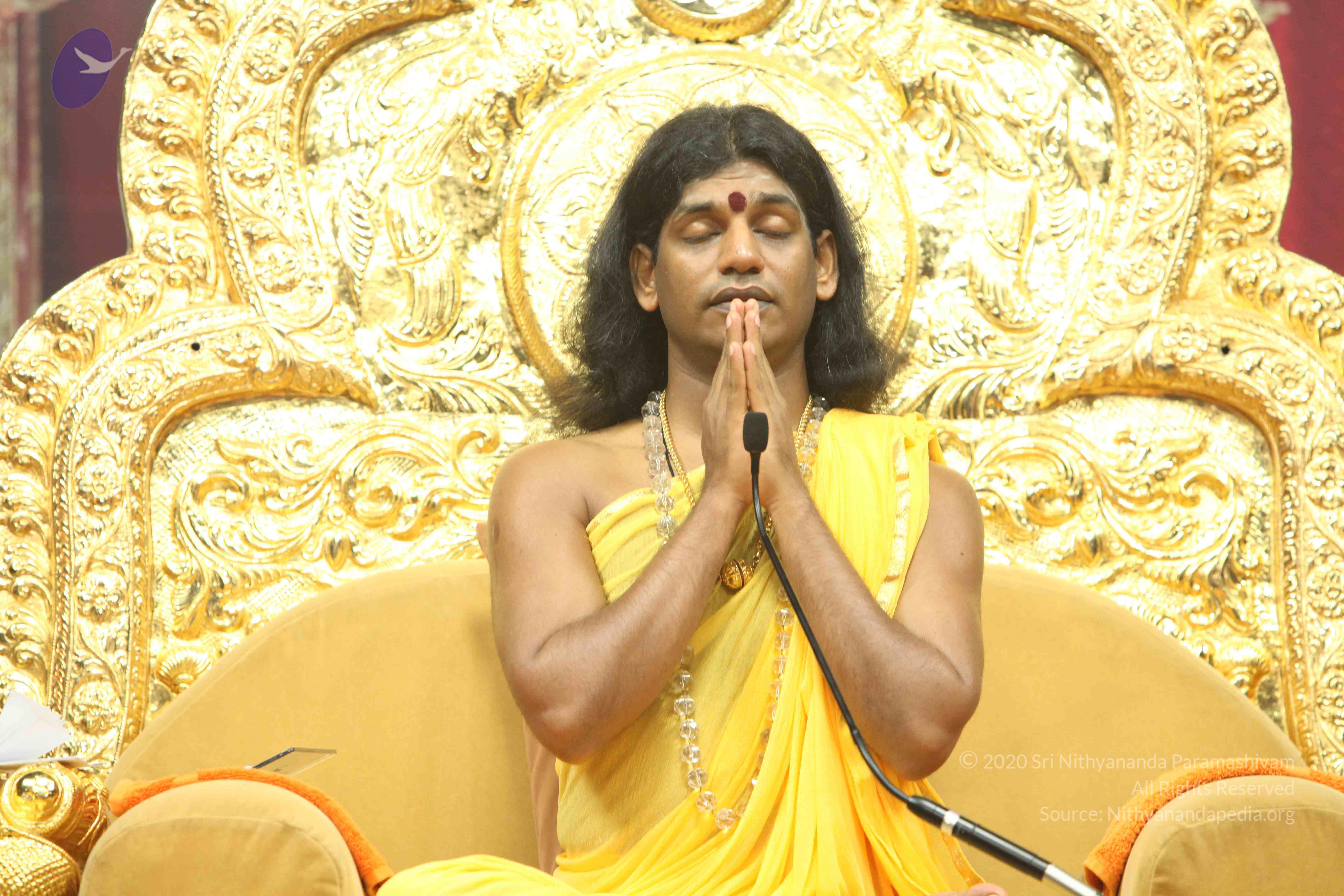 20110201_Photo_1014_IMG_2634_CMP_WM