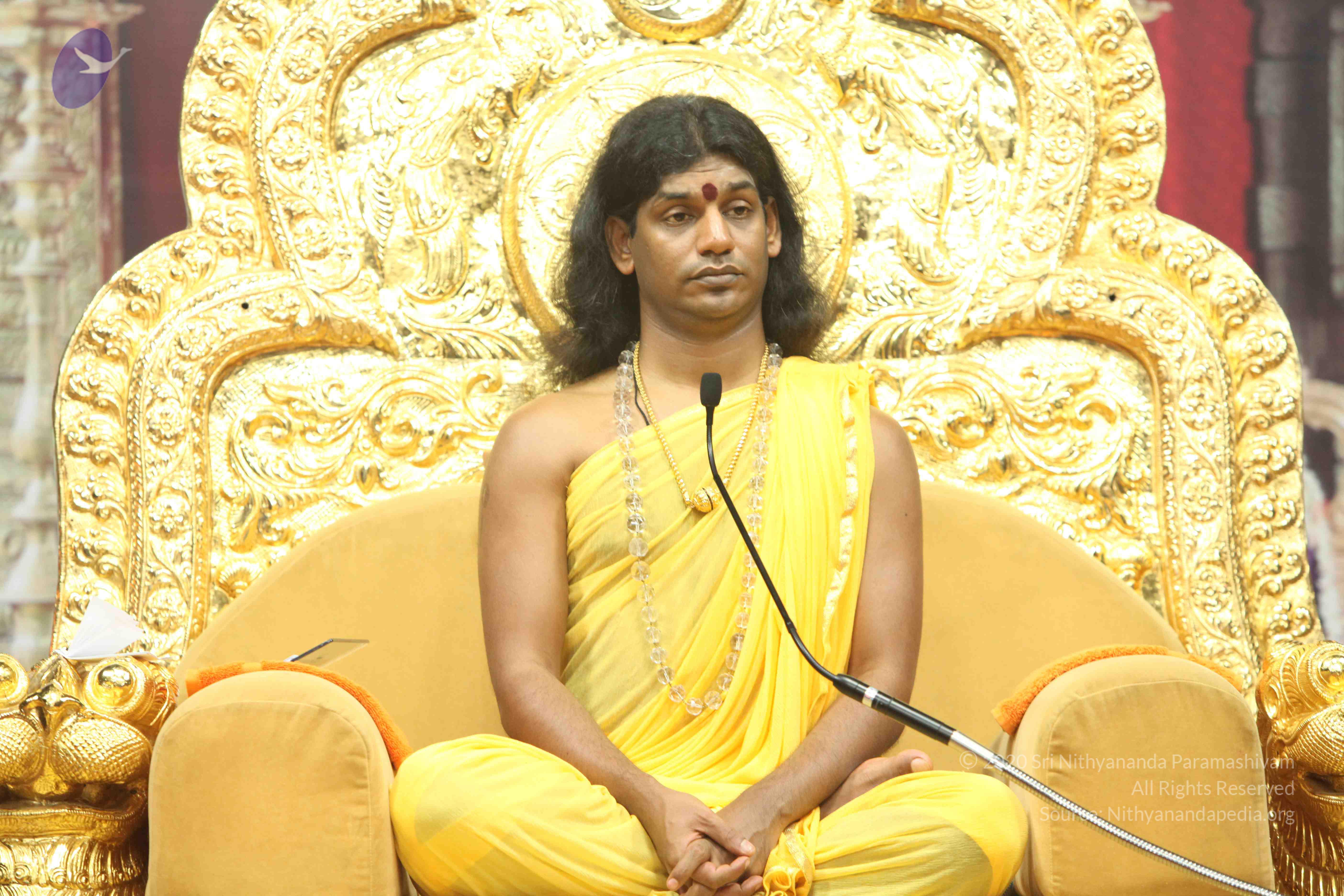 20110201_Photo_1016_IMG_2631_CMP_WM