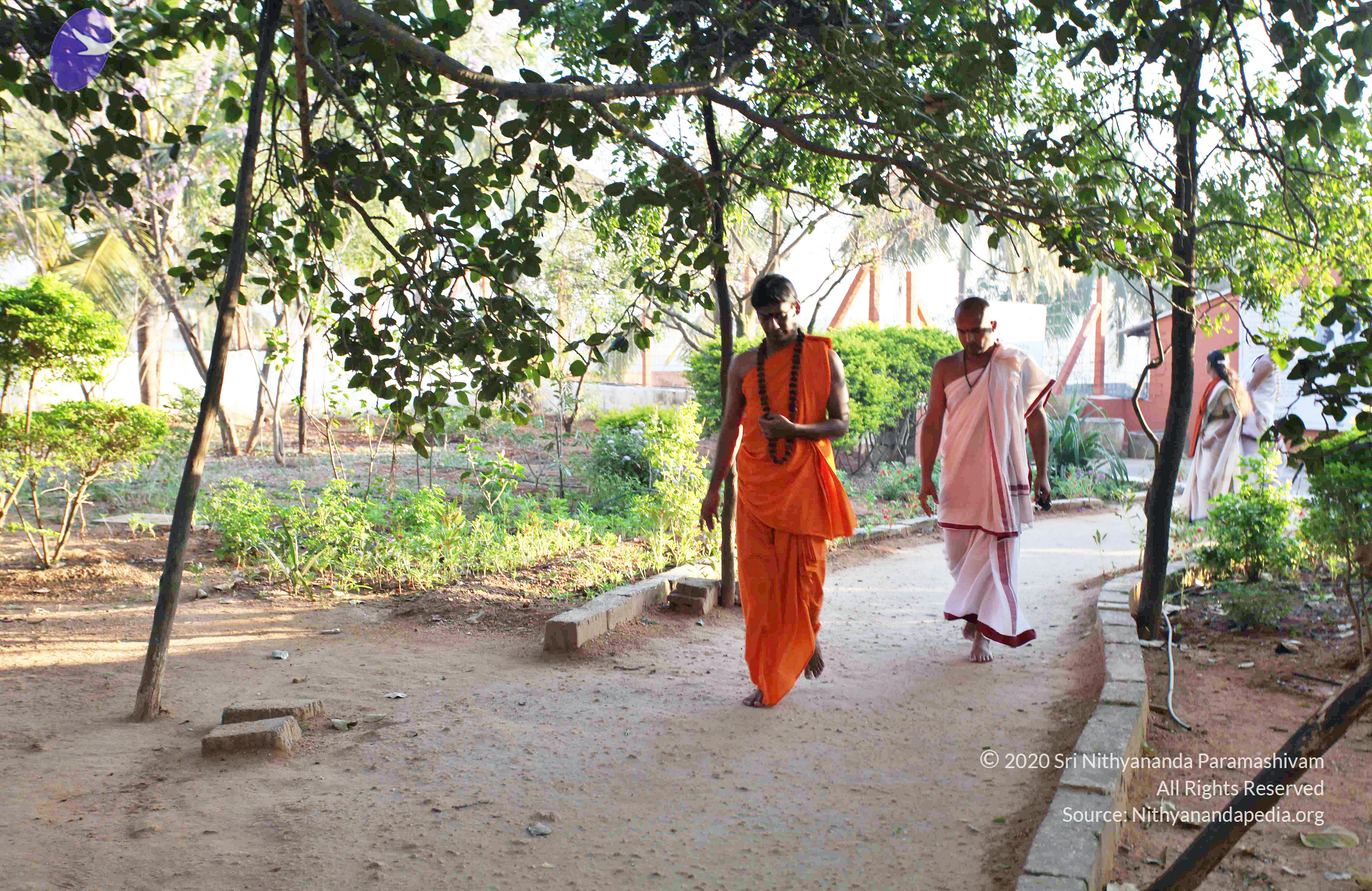 20110201_Photo_1000_IMG_2333_CMP_WM