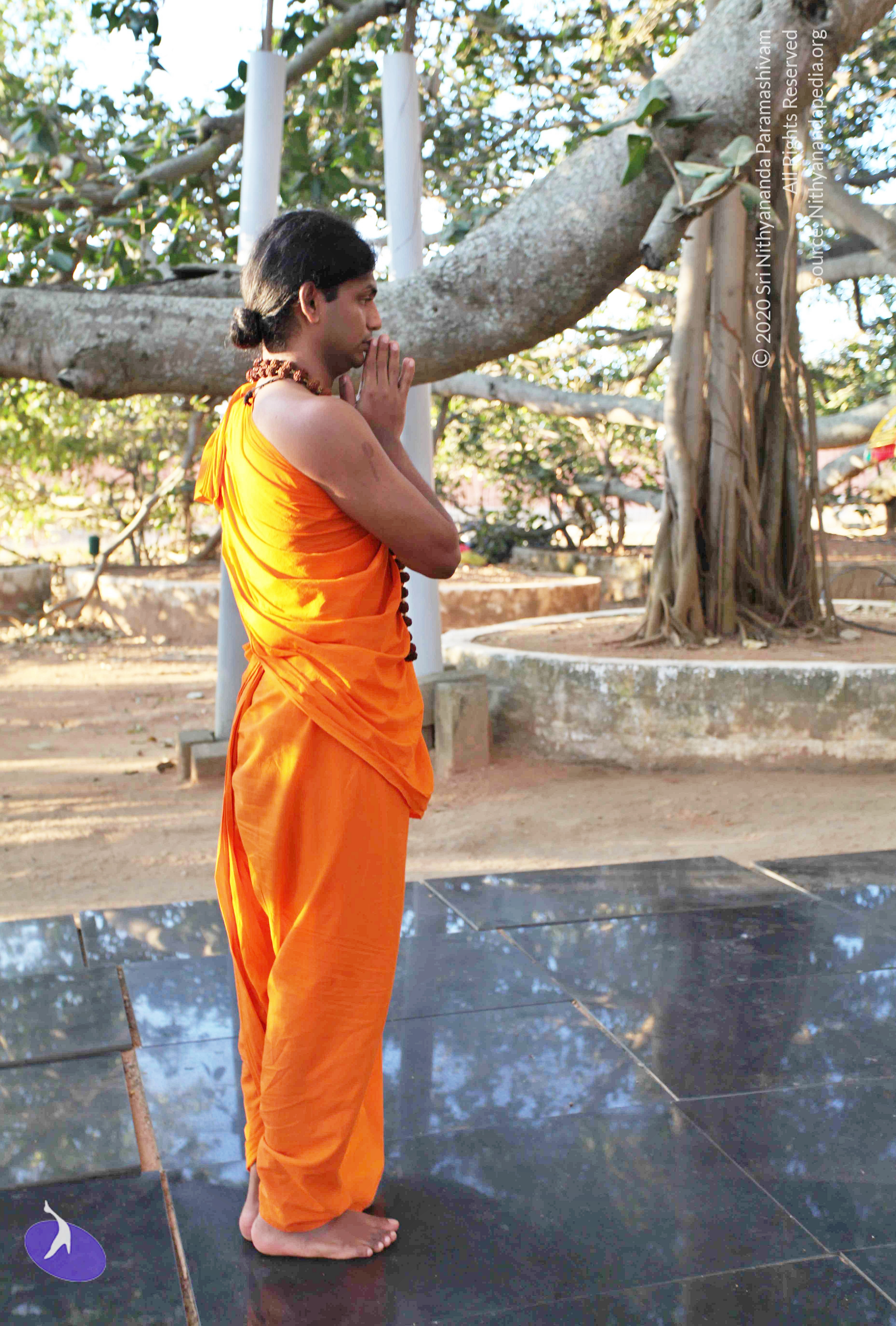 20110201_Photo_1001_IMG_2351_CMP_WM