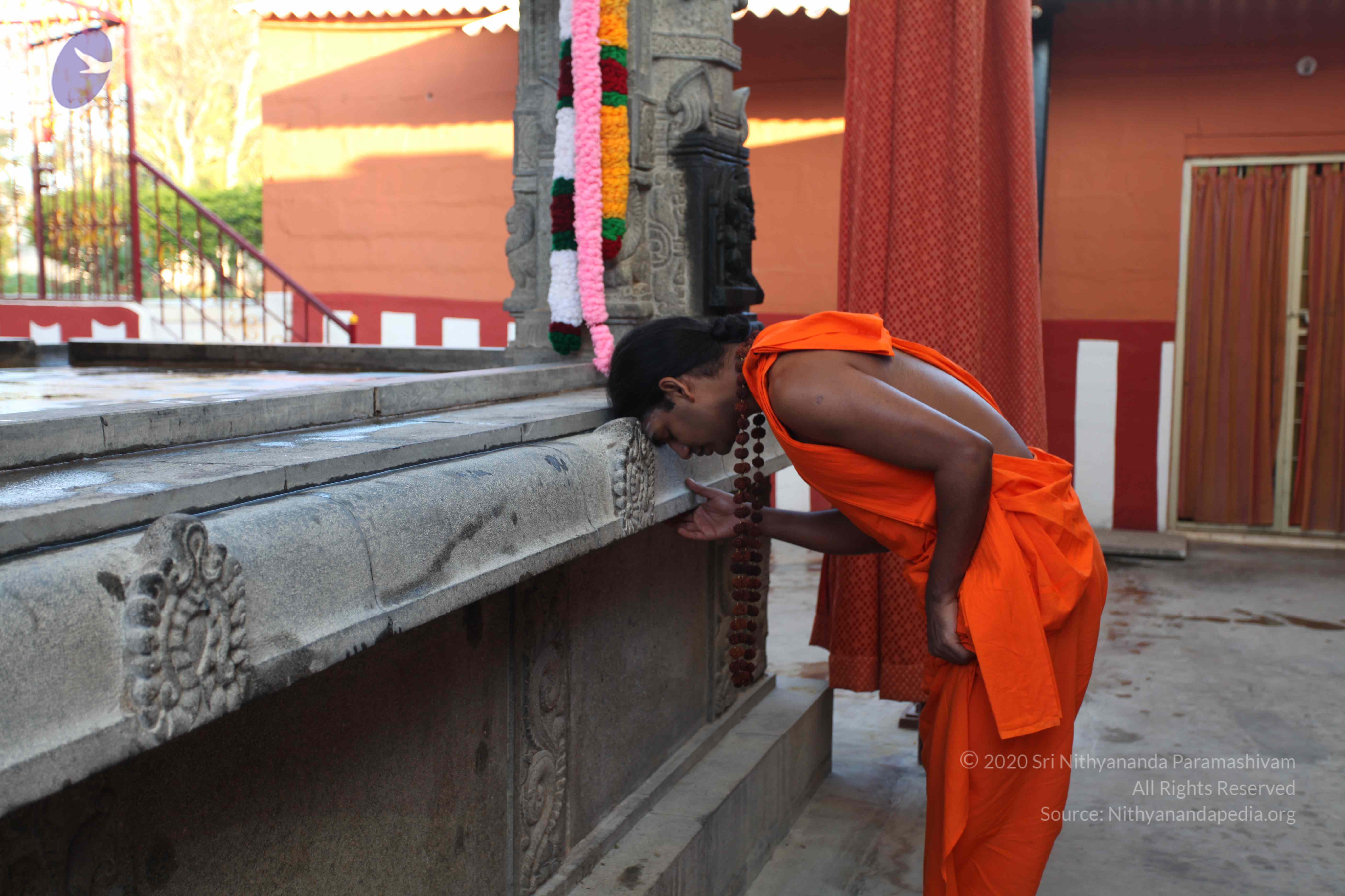 20110201_Photo_1010_IMG_2331_CMP_WM