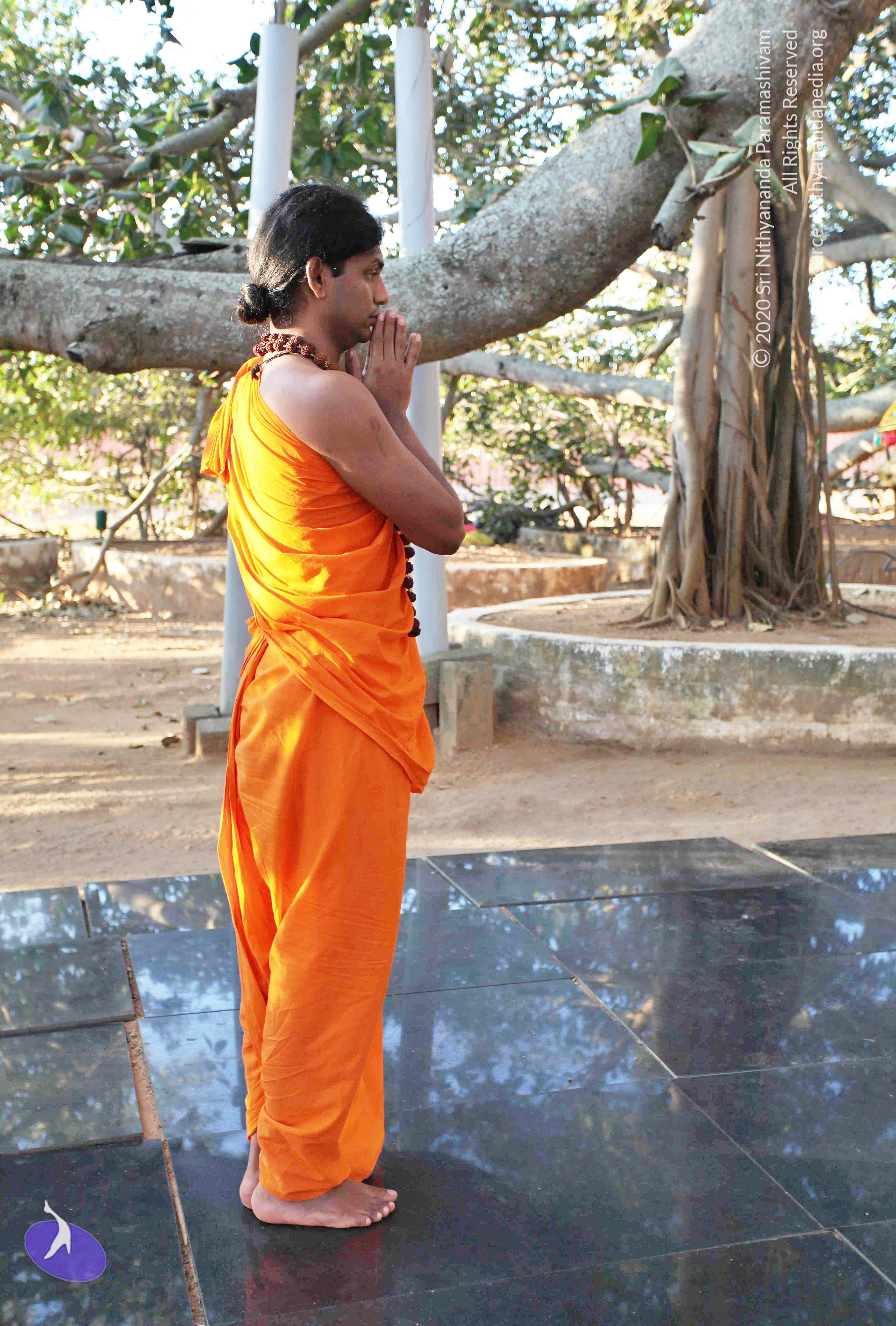 20110201_Photo_1011_IMG_2353_CMP_WM