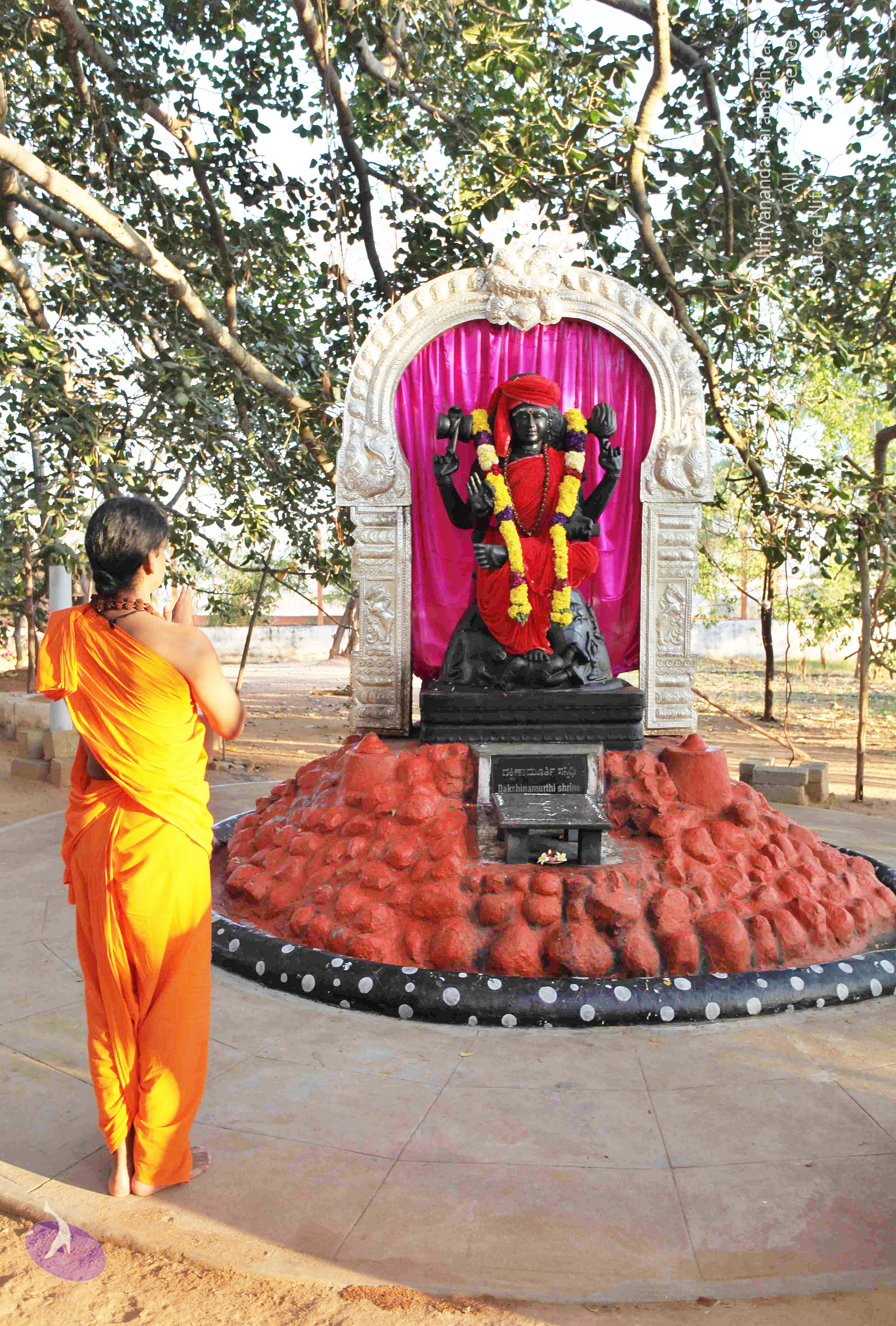 20110201_Photo_1017_IMG_2334_CMP_WM