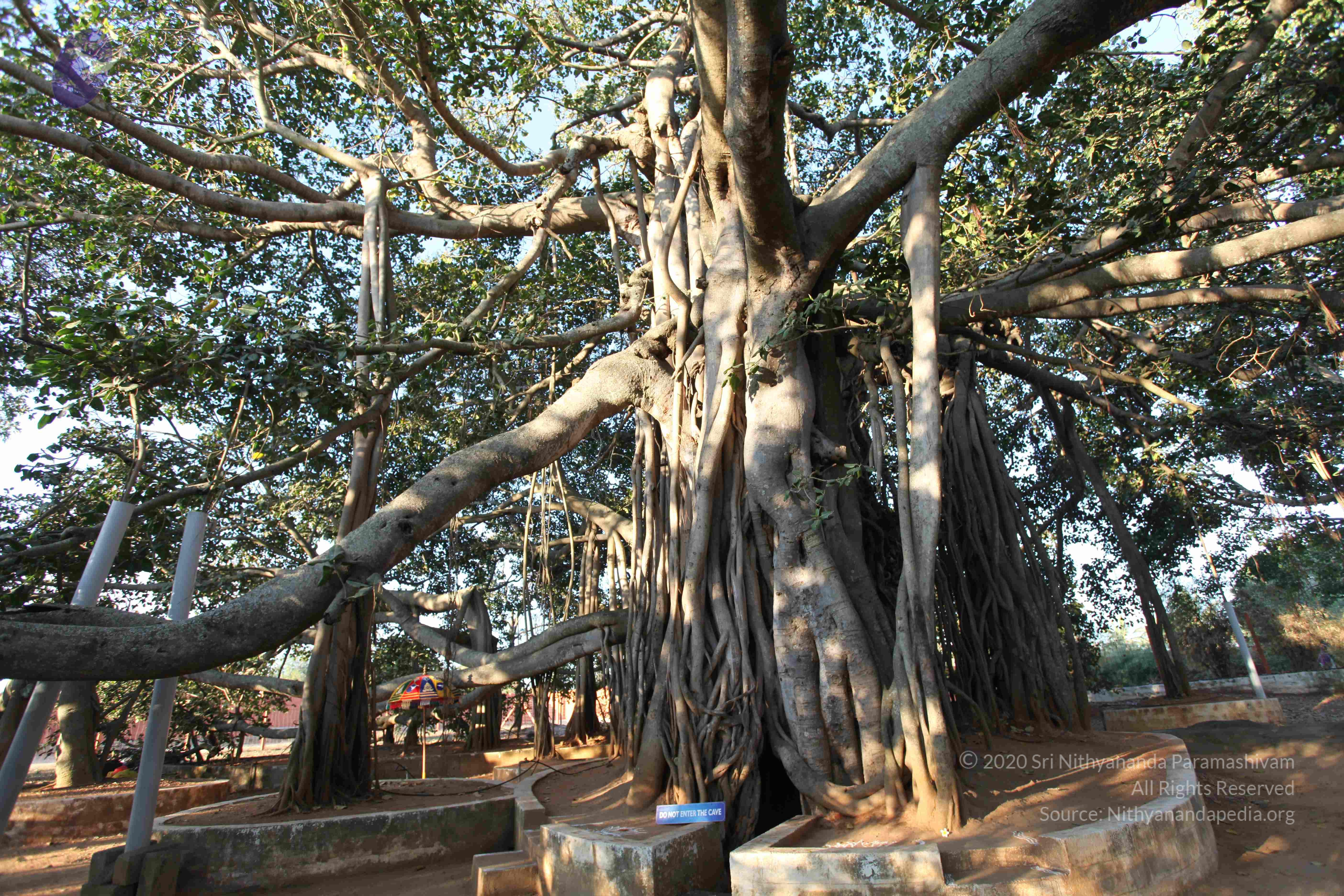 20110201_Photo_1018_IMG_2361_CMP_WM