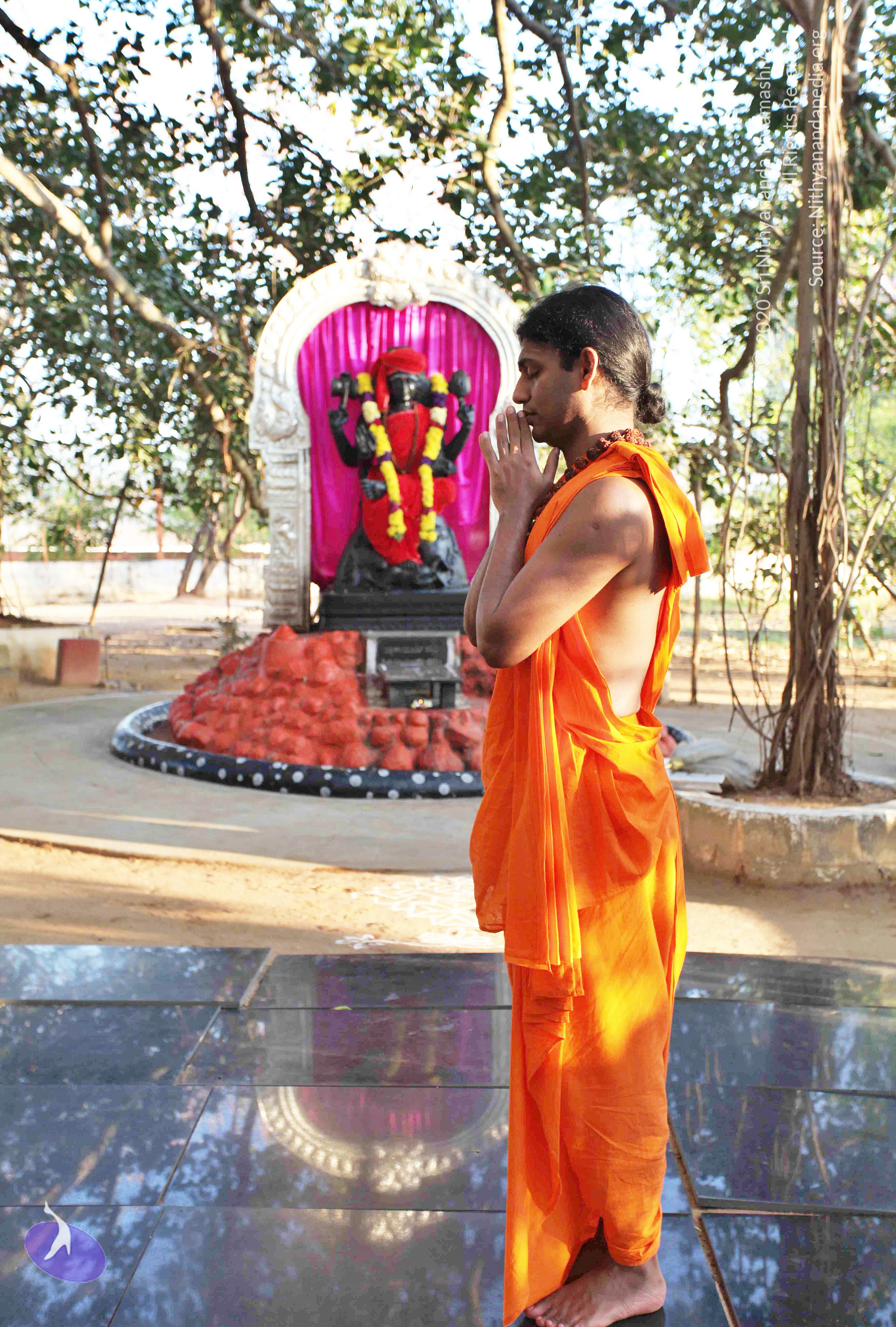 20110201_Photo_1019_IMG_2356_CMP_WM