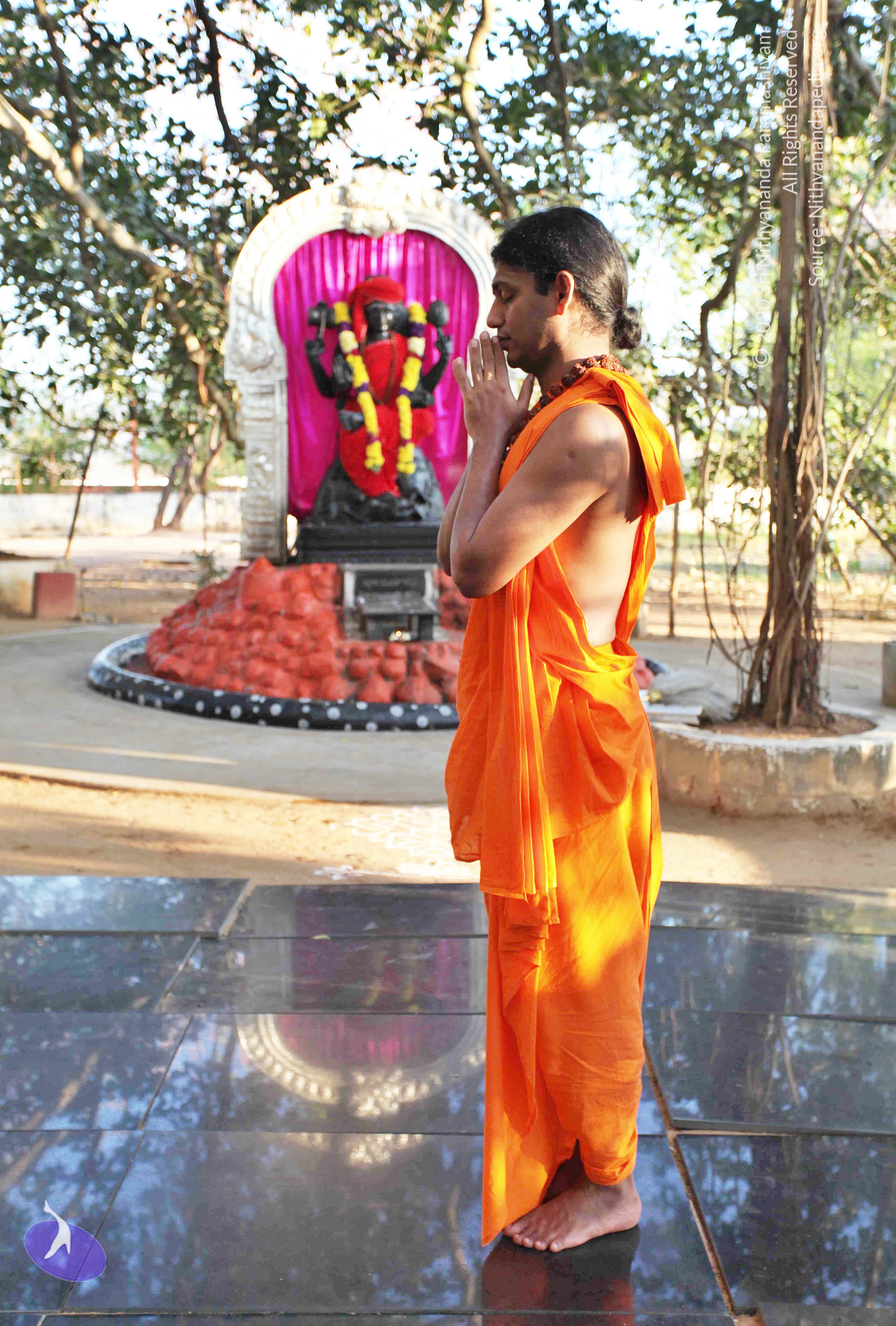 20110201_Photo_1023_IMG_2355_CMP_WM