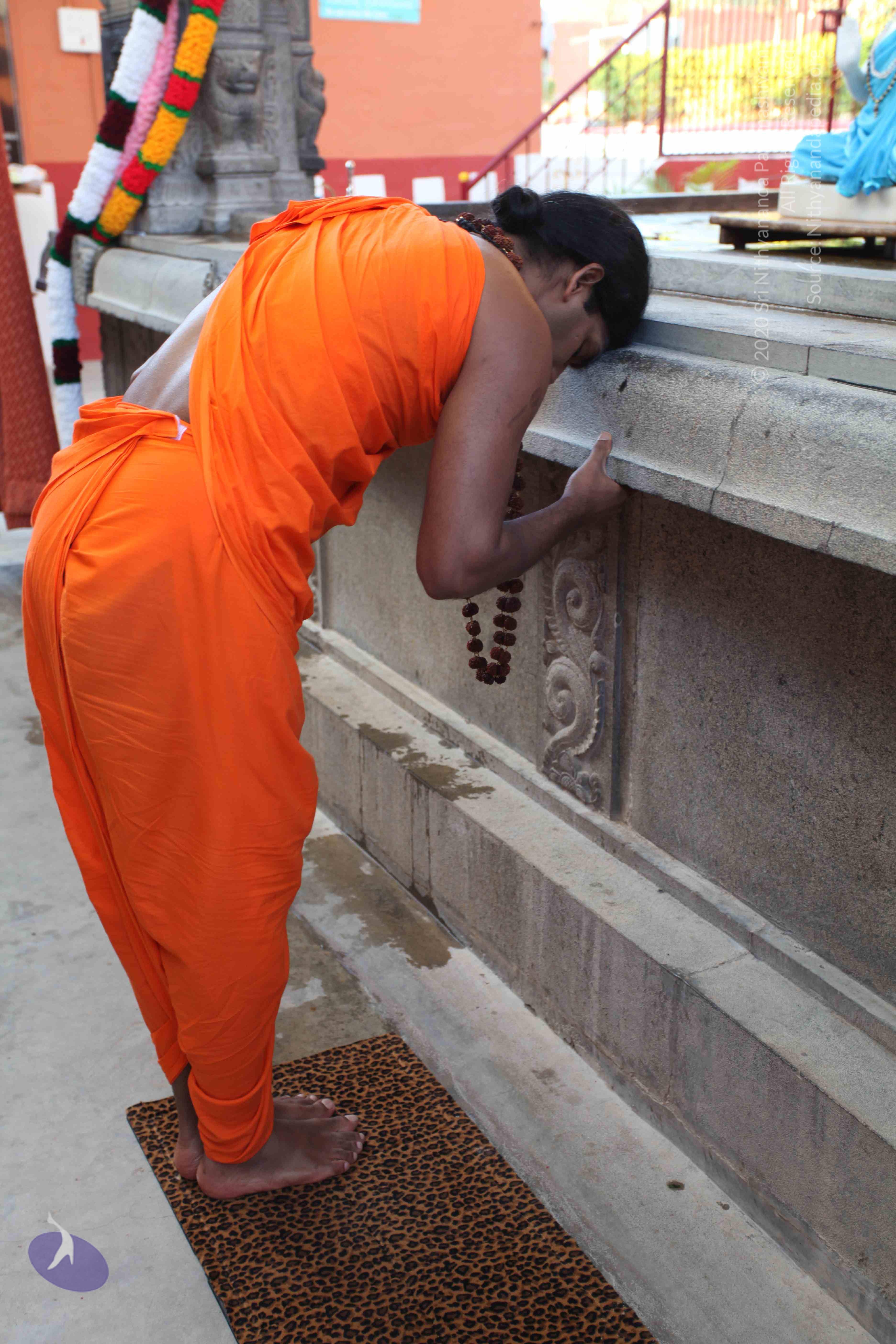 20110201_Photo_1024_IMG_2362_CMP_WM