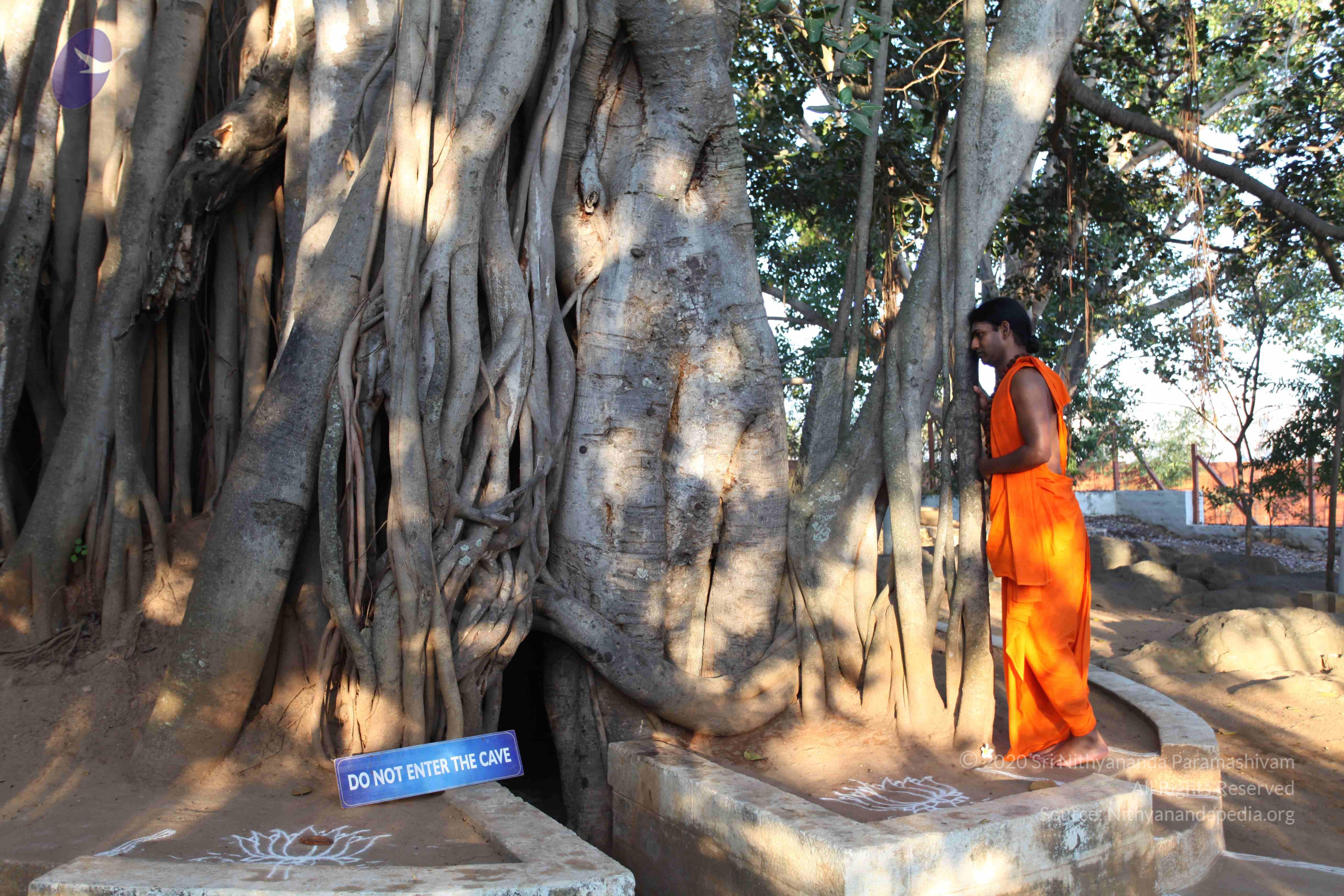 20110201_Photo_1029_IMG_2346_CMP_WM