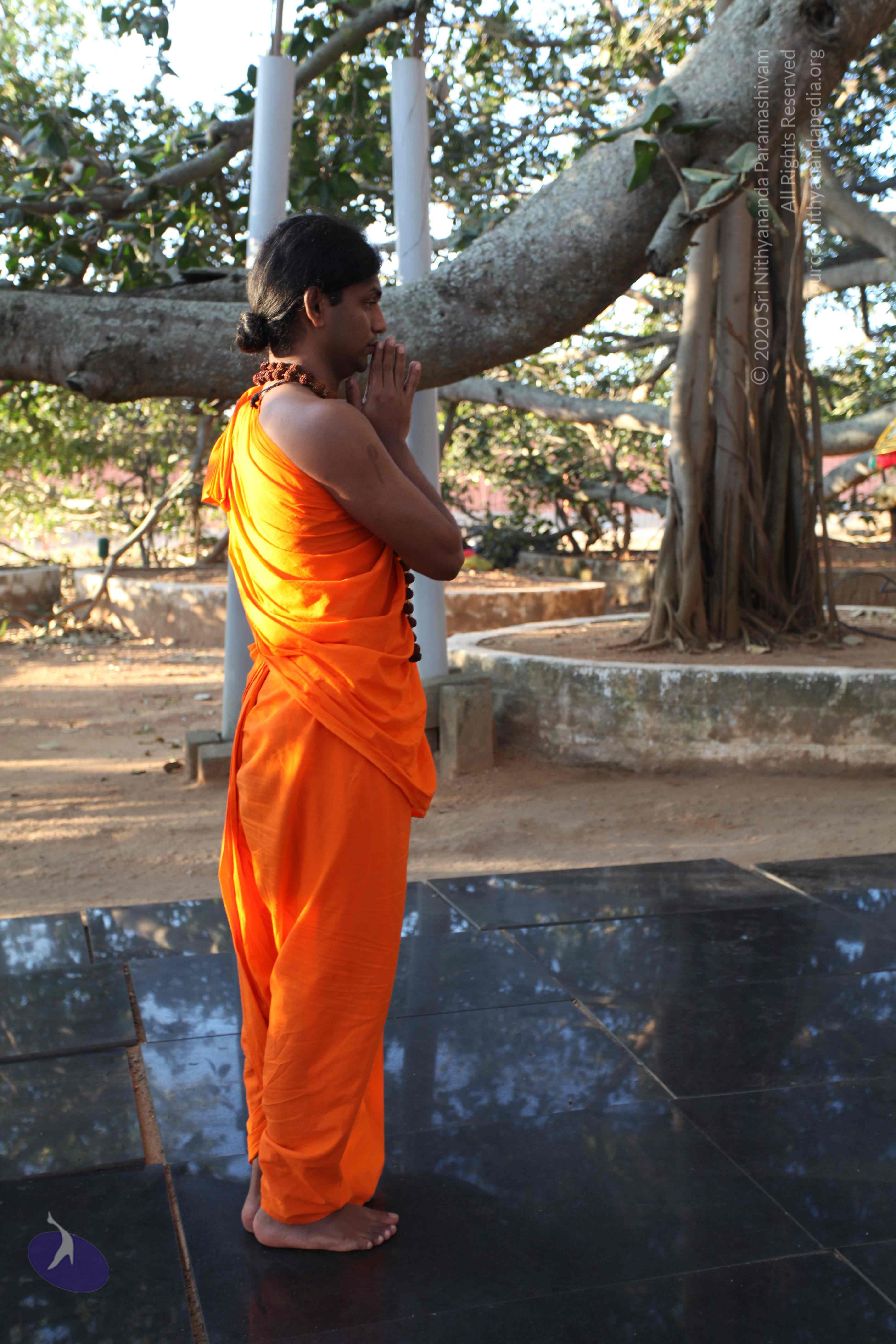 20110201_Photo_1036_IMG_2352_CMP_WM