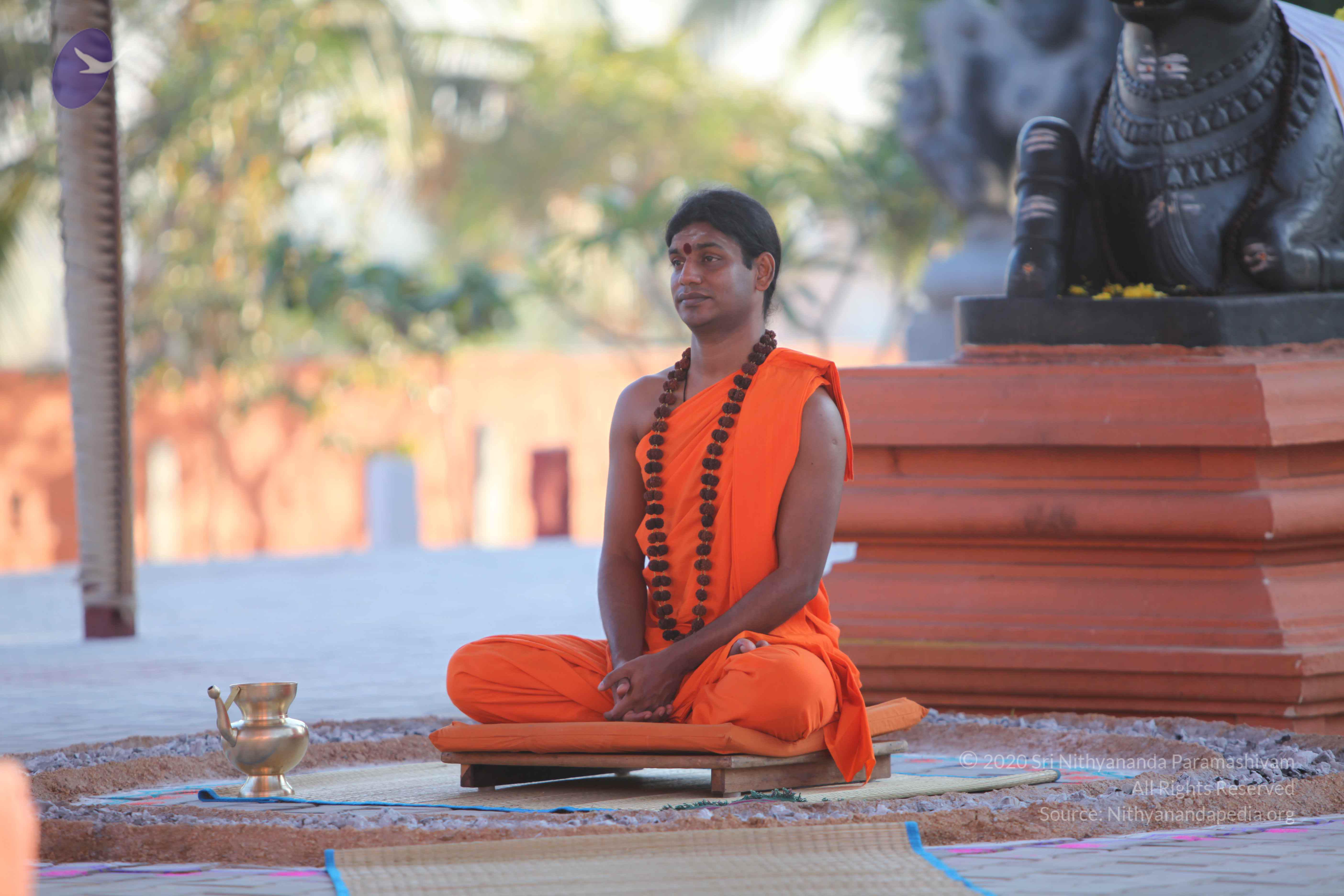 20110201_Photo_1000_IMG_2466_CMP_WM