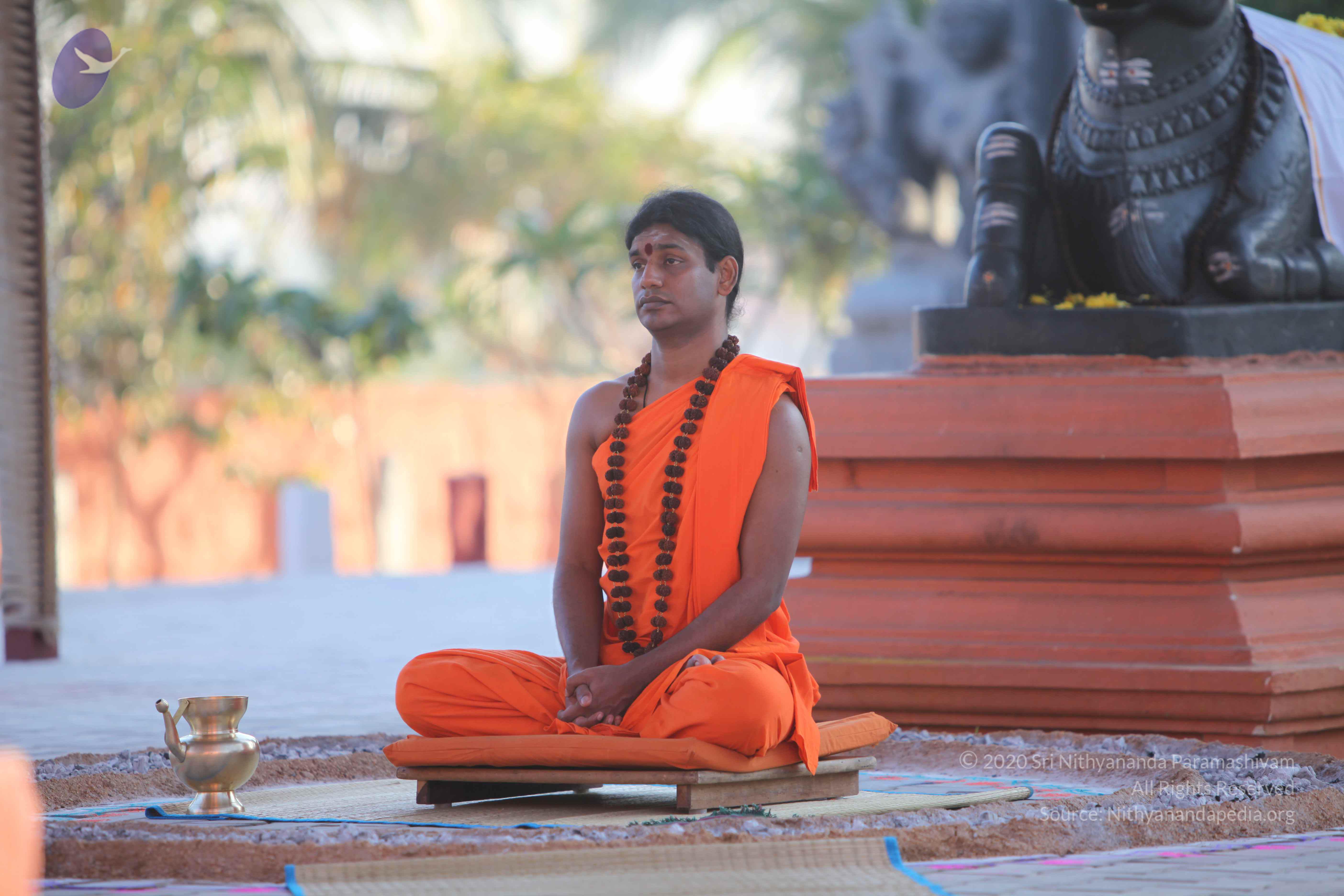 20110201_Photo_1001_IMG_2451_CMP_WM