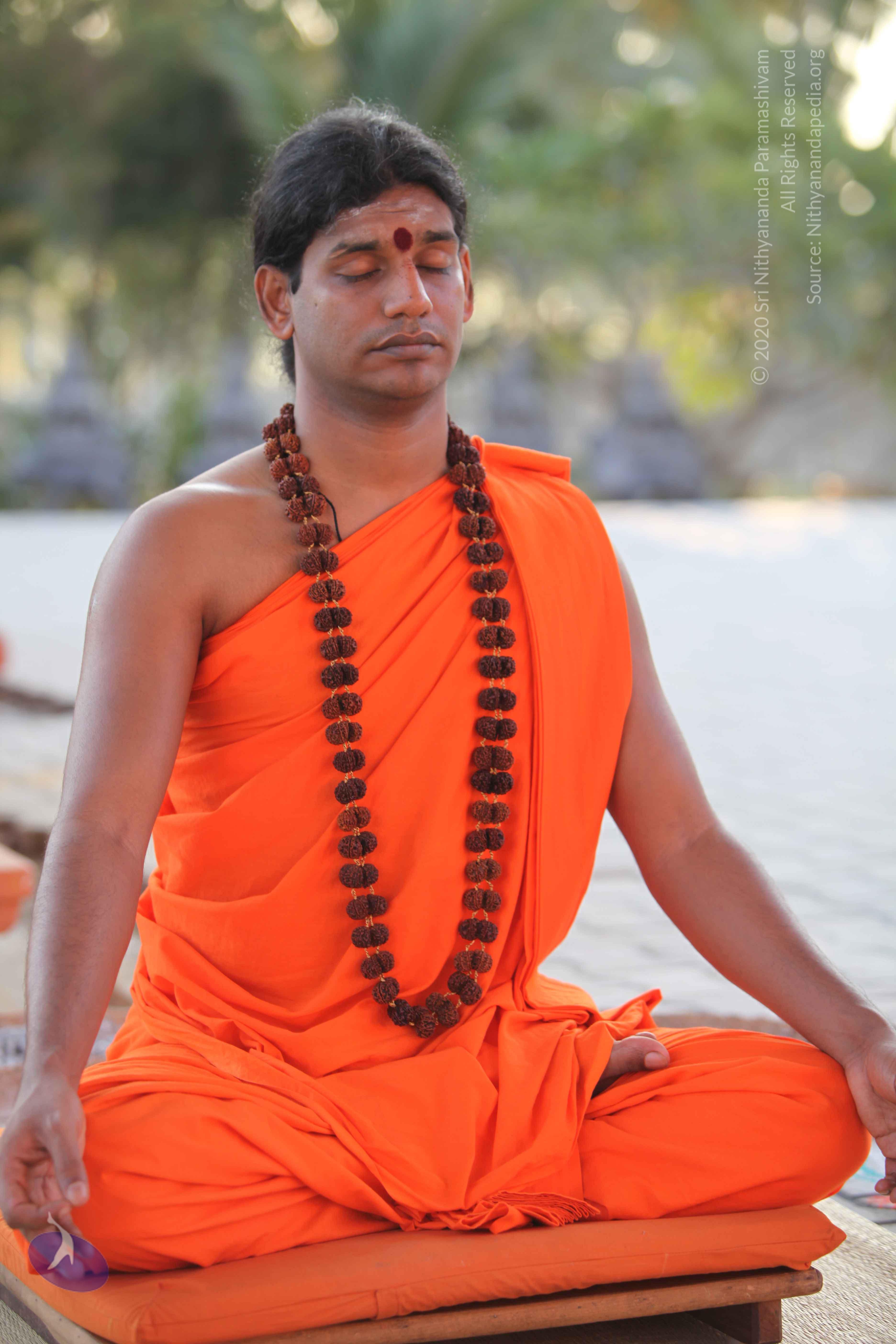 20110201_Photo_1003_IMG_2404_CMP_WM