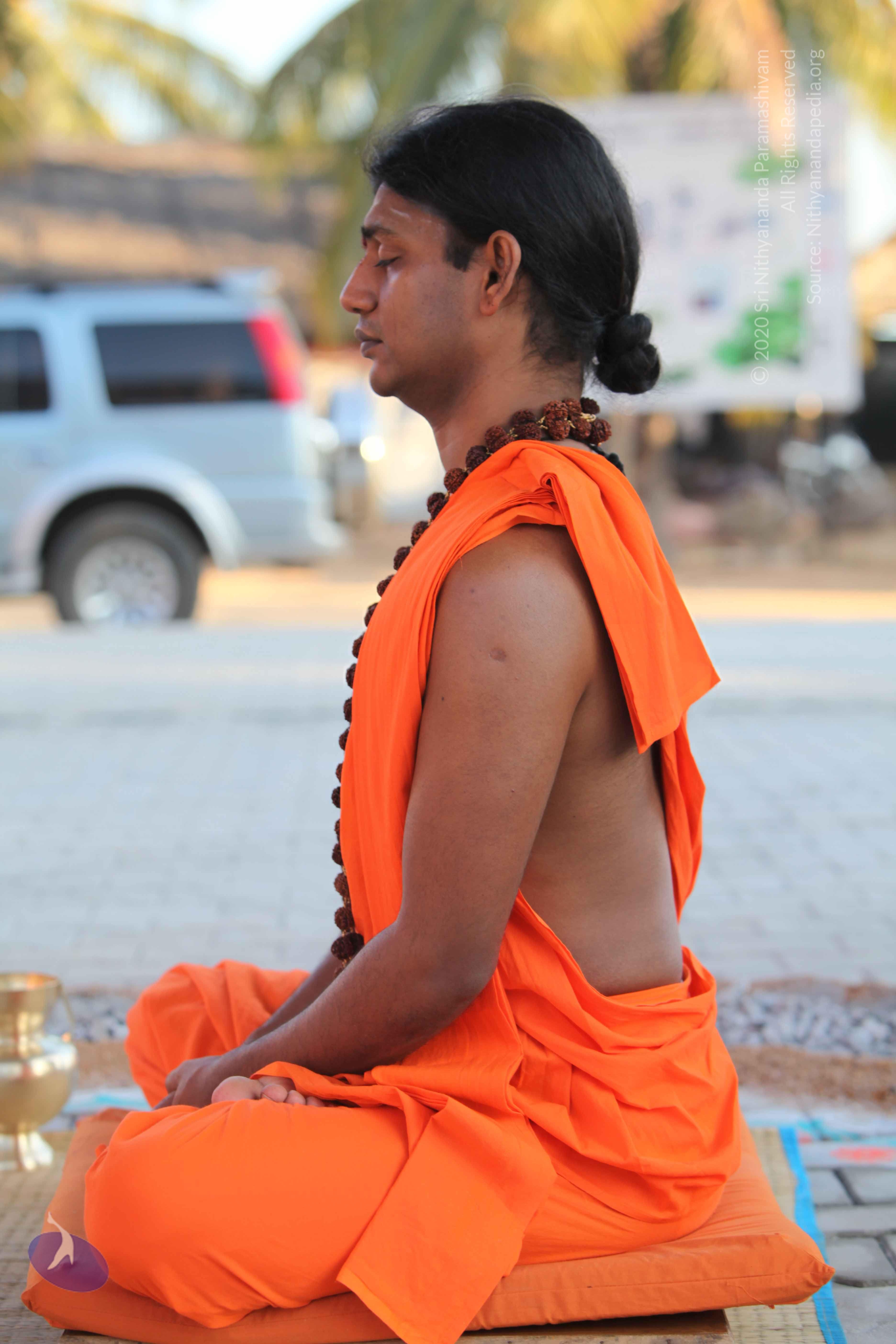 20110201_Photo_1004_IMG_2433_CMP_WM