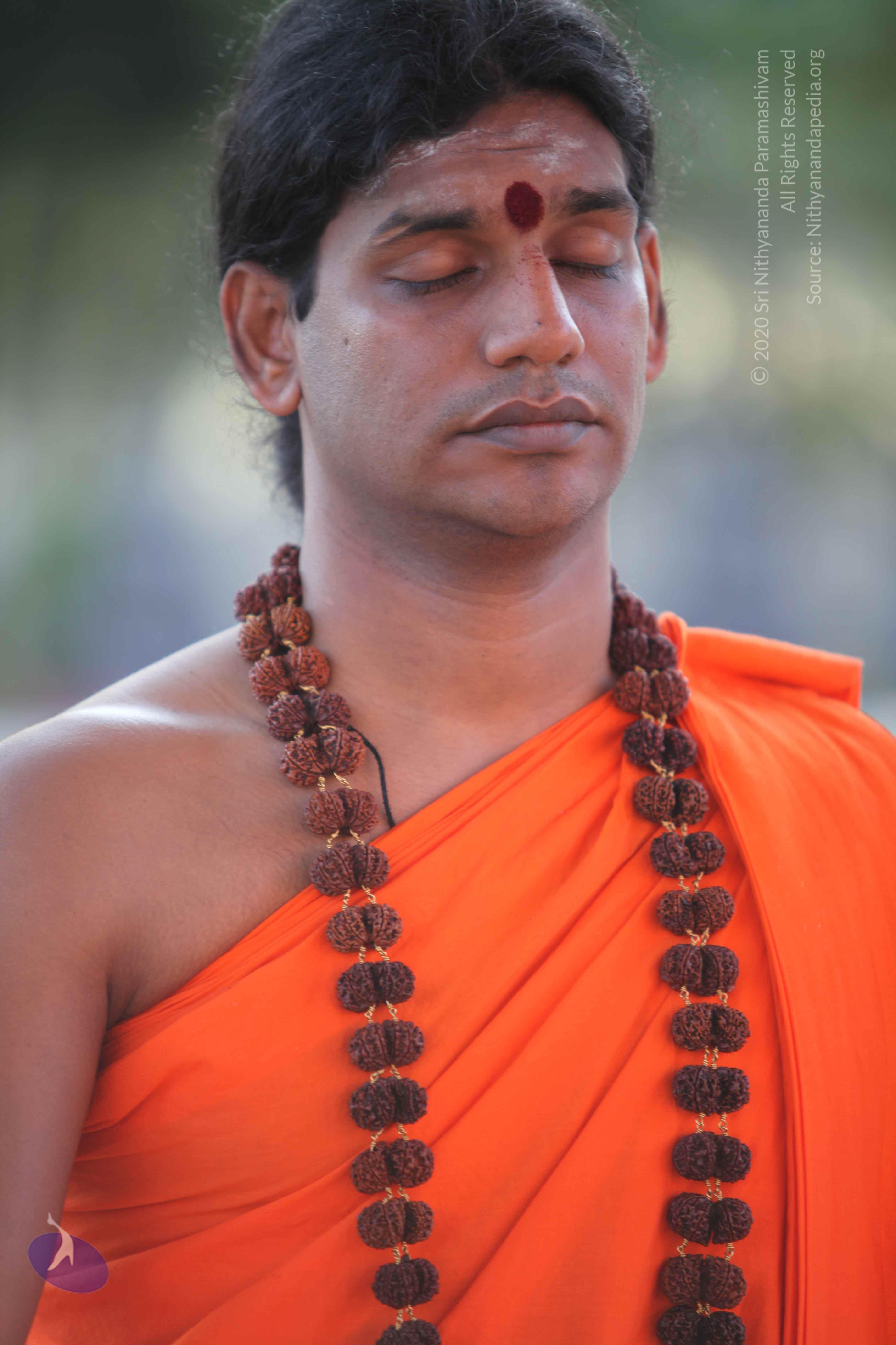 20110201_Photo_1007_IMG_2399_CMP_WM