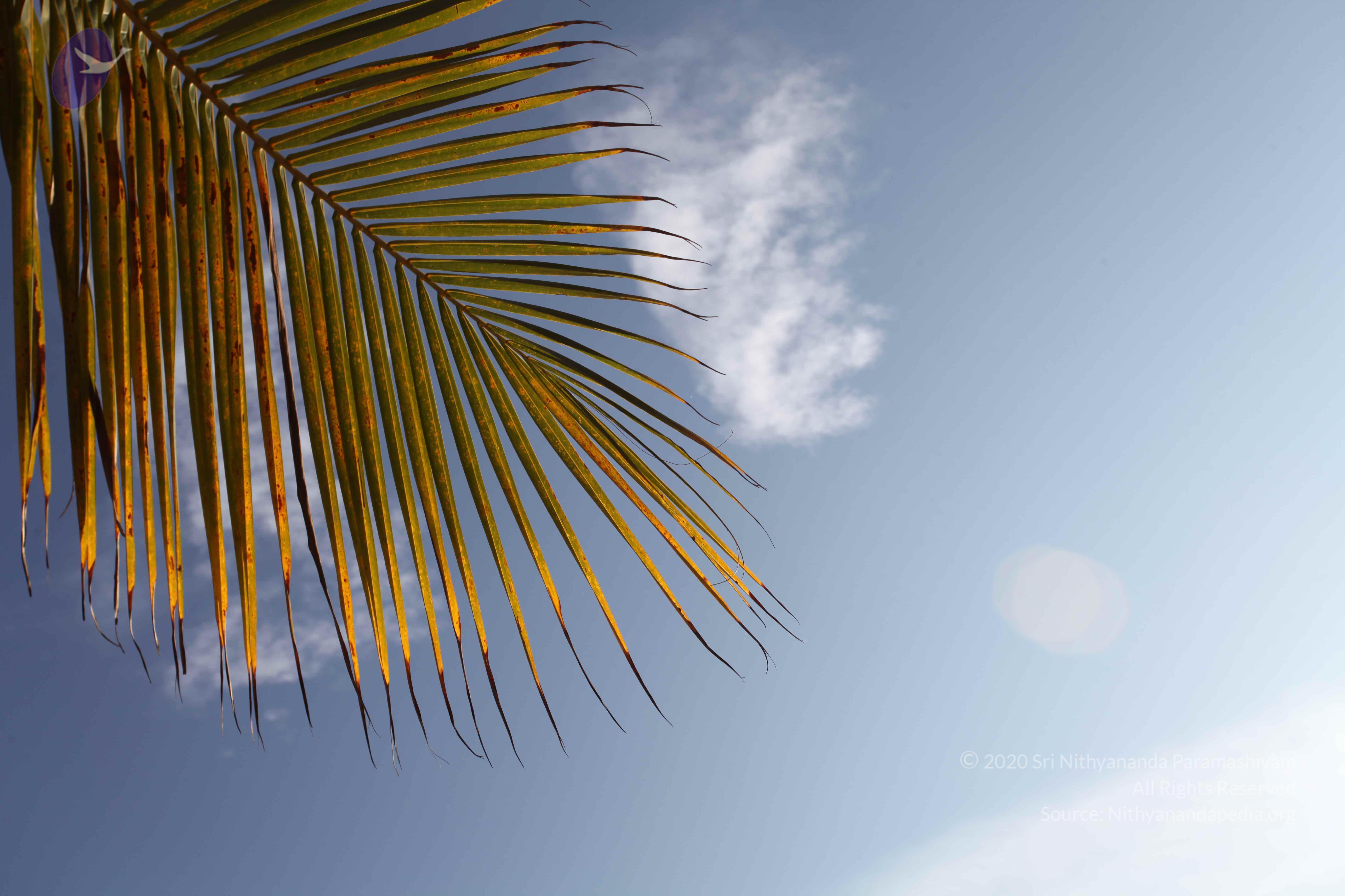 20110201_Photo_1009_IMG_2559_CMP_WM