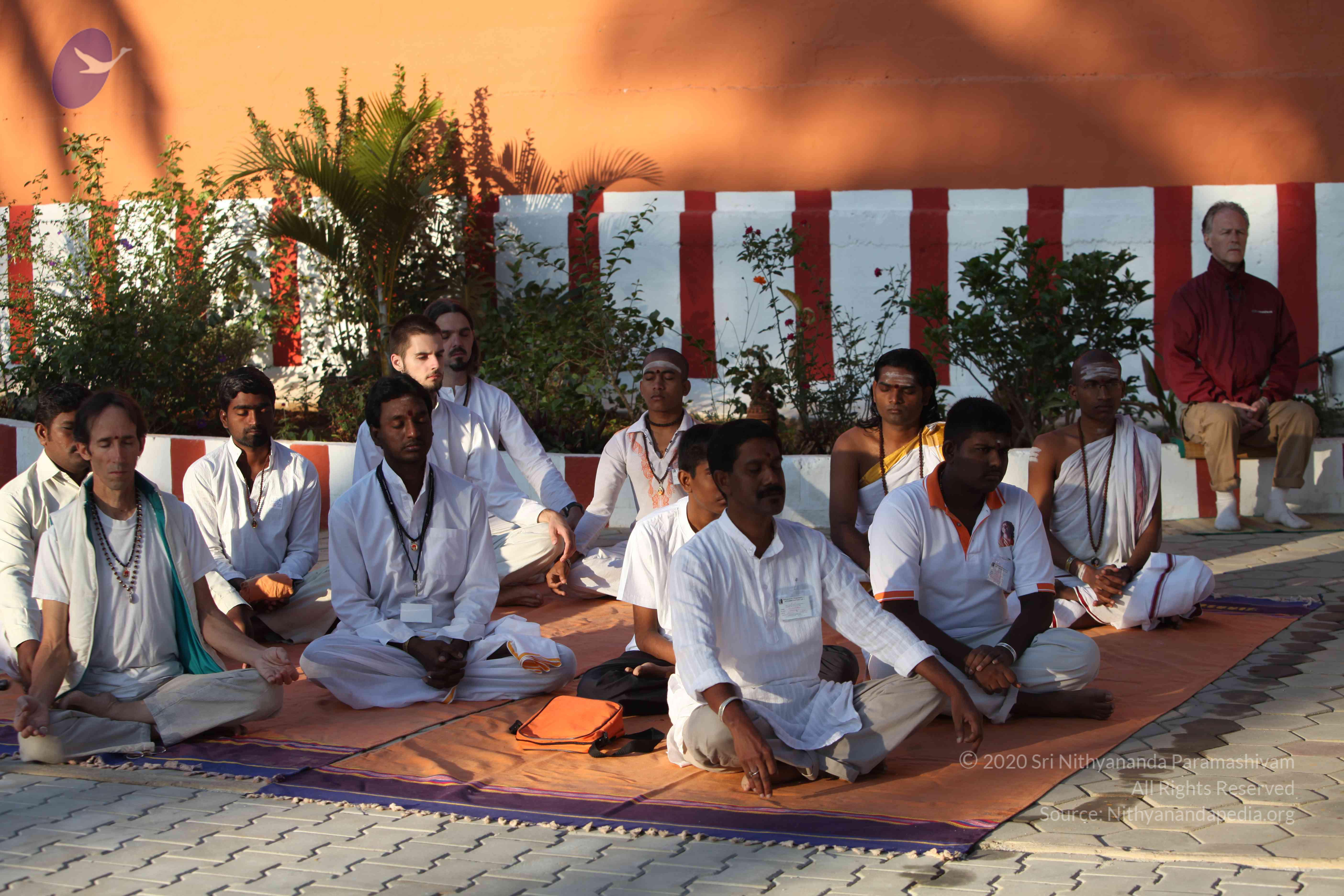 20110201_Photo_1010_IMG_2418_CMP_WM