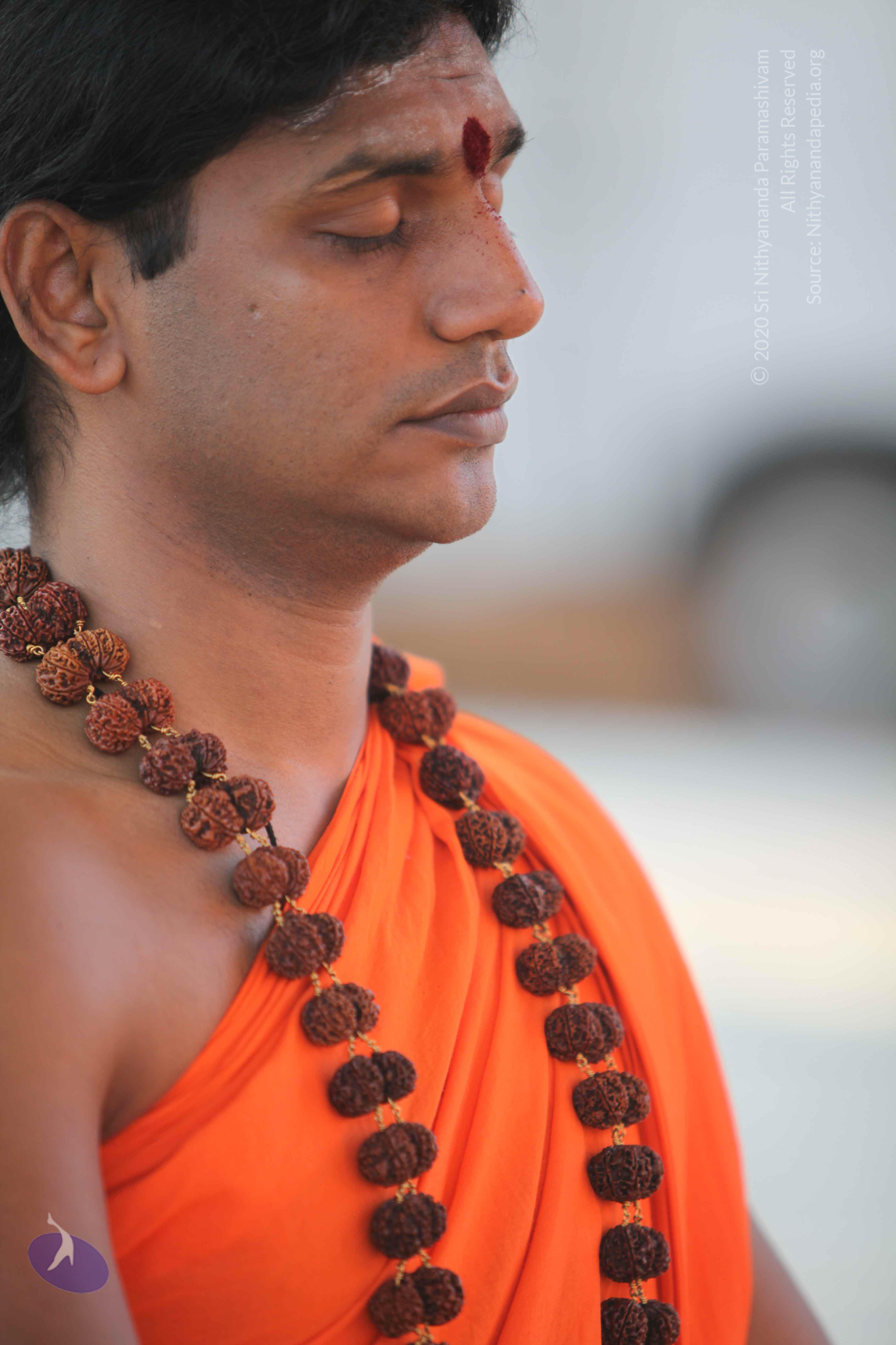 20110201_Photo_1011_IMG_2385_CMP_WM