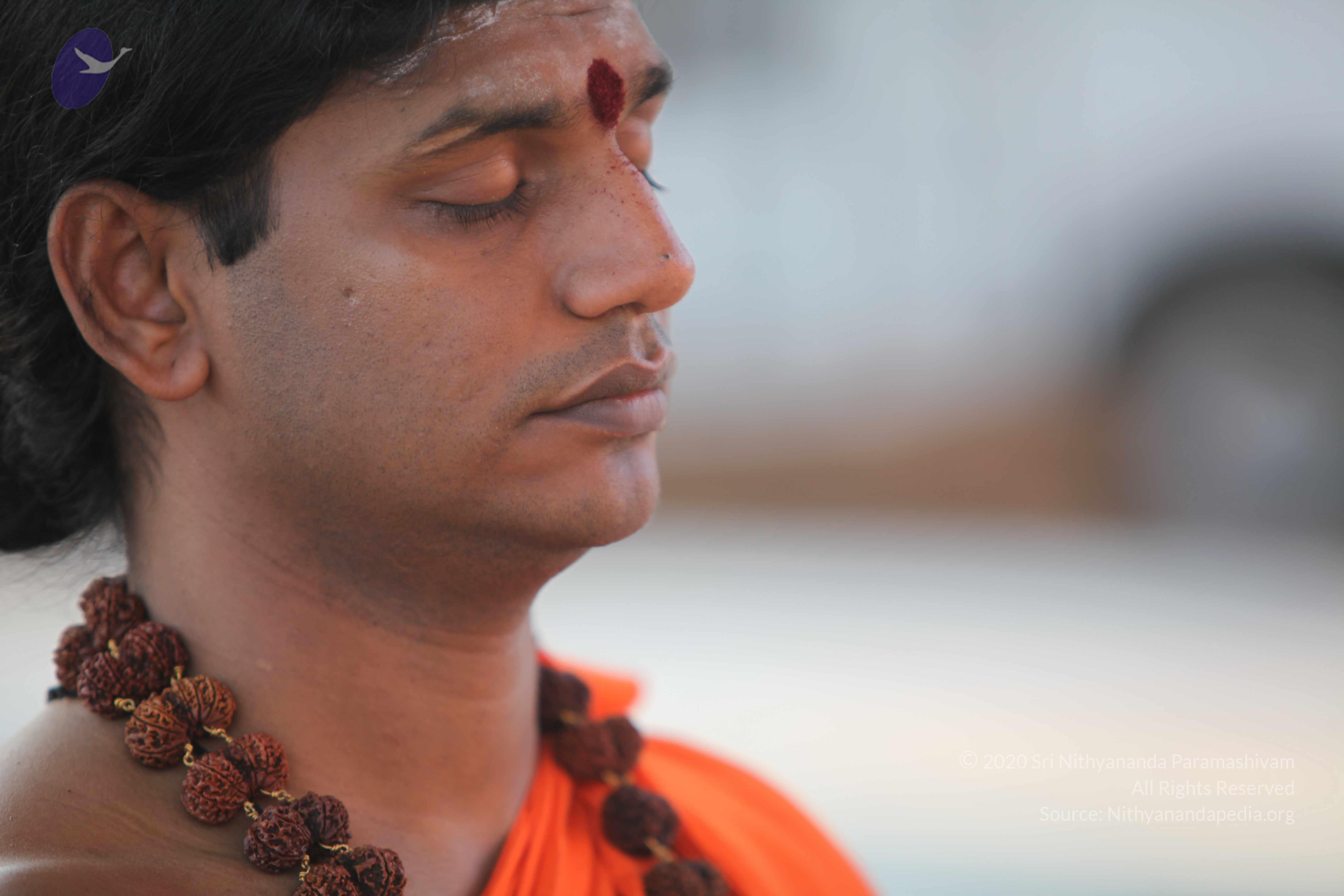 20110201_Photo_1014_IMG_2394_CMP_WM