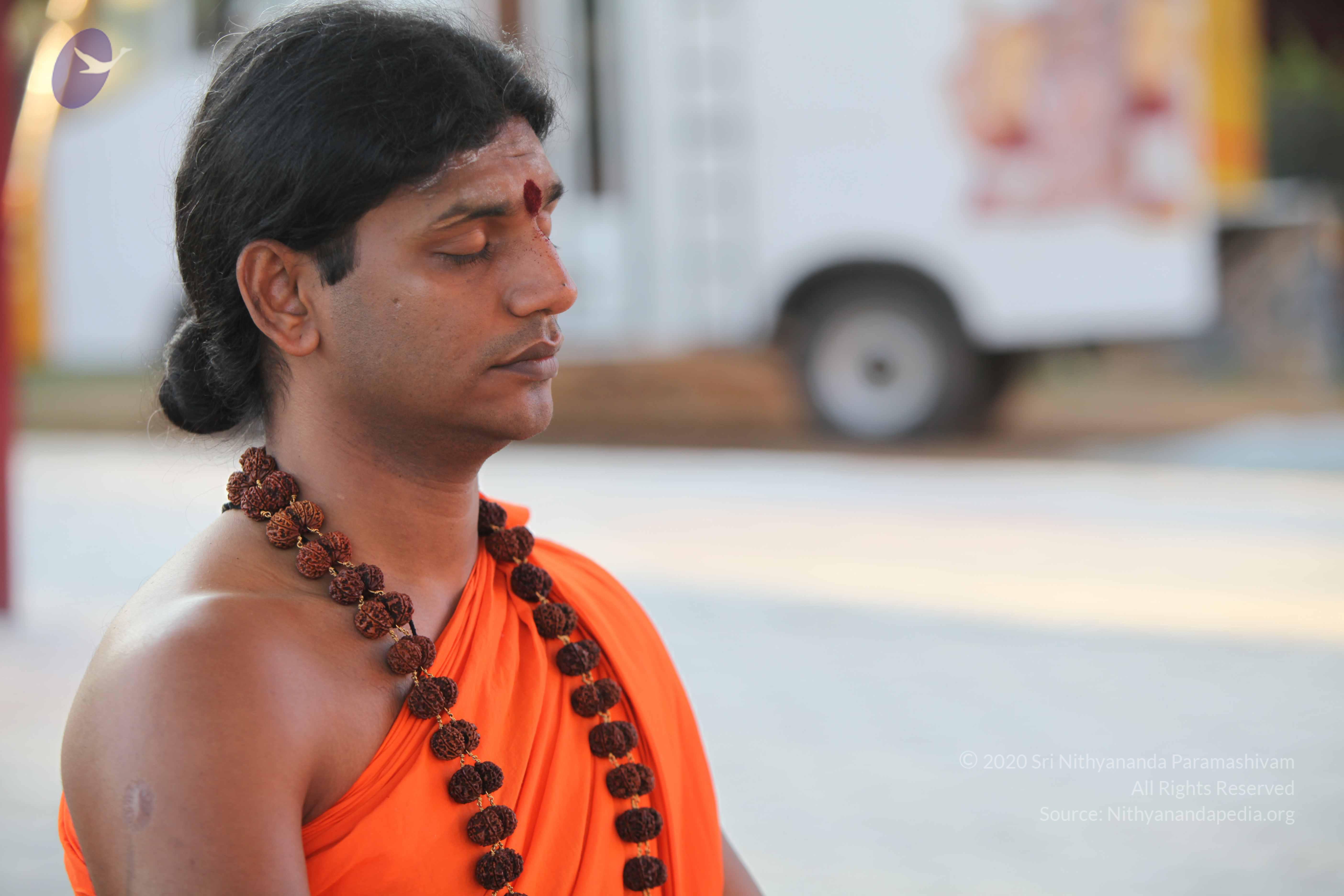 20110201_Photo_1018_IMG_2388_CMP_WM