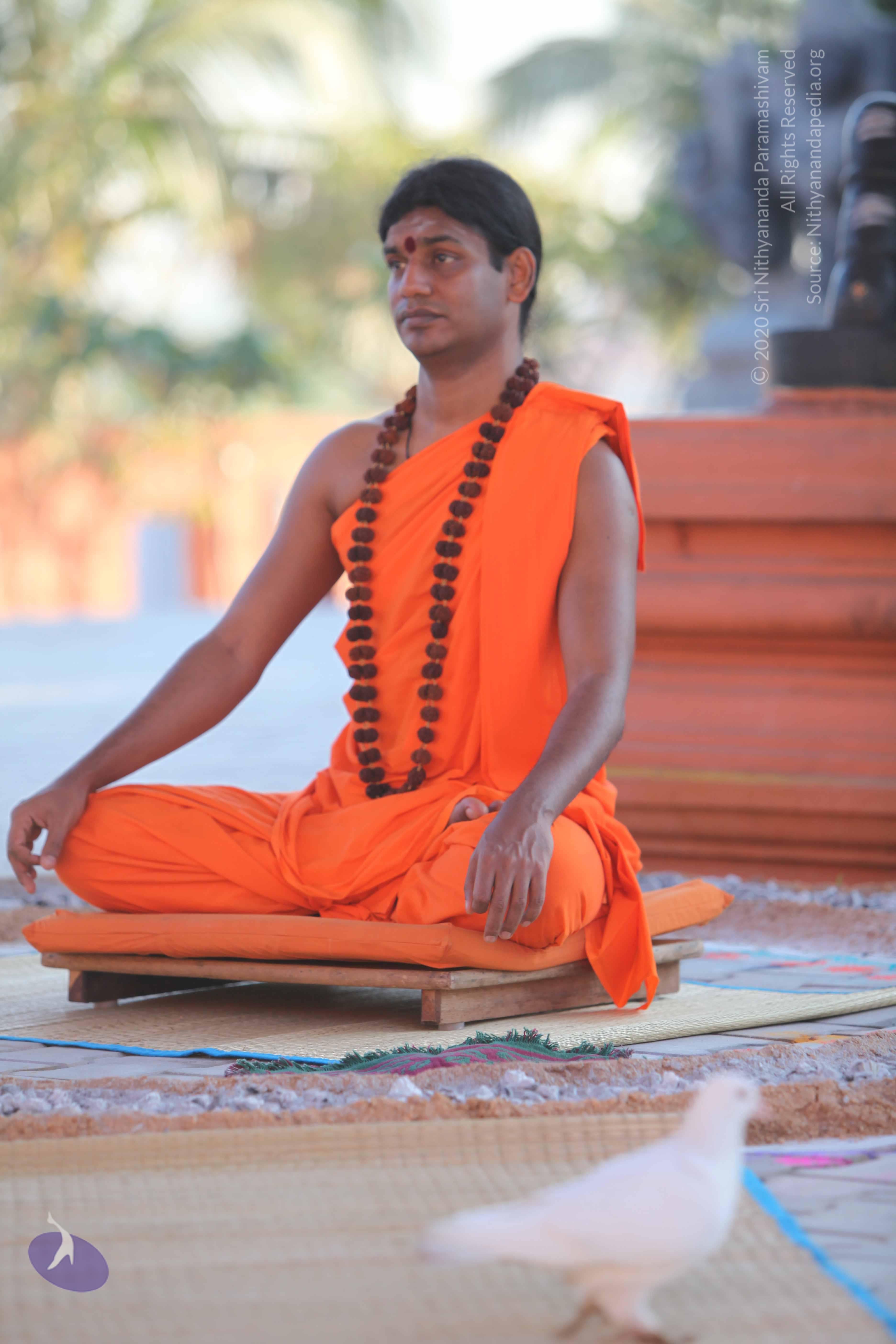 20110201_Photo_1019_IMG_2536_CMP_WM