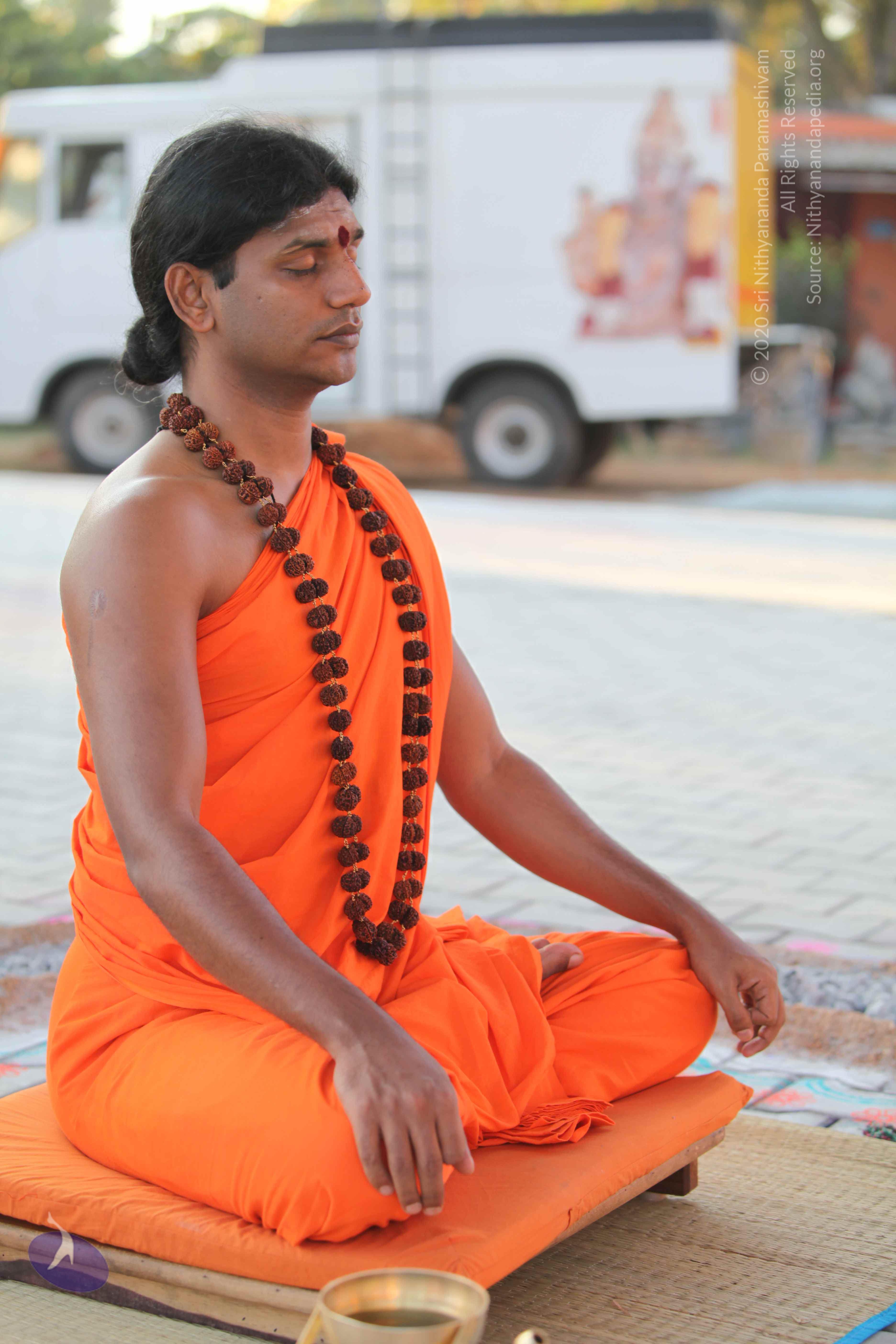 20110201_Photo_1022_IMG_2377_CMP_WM