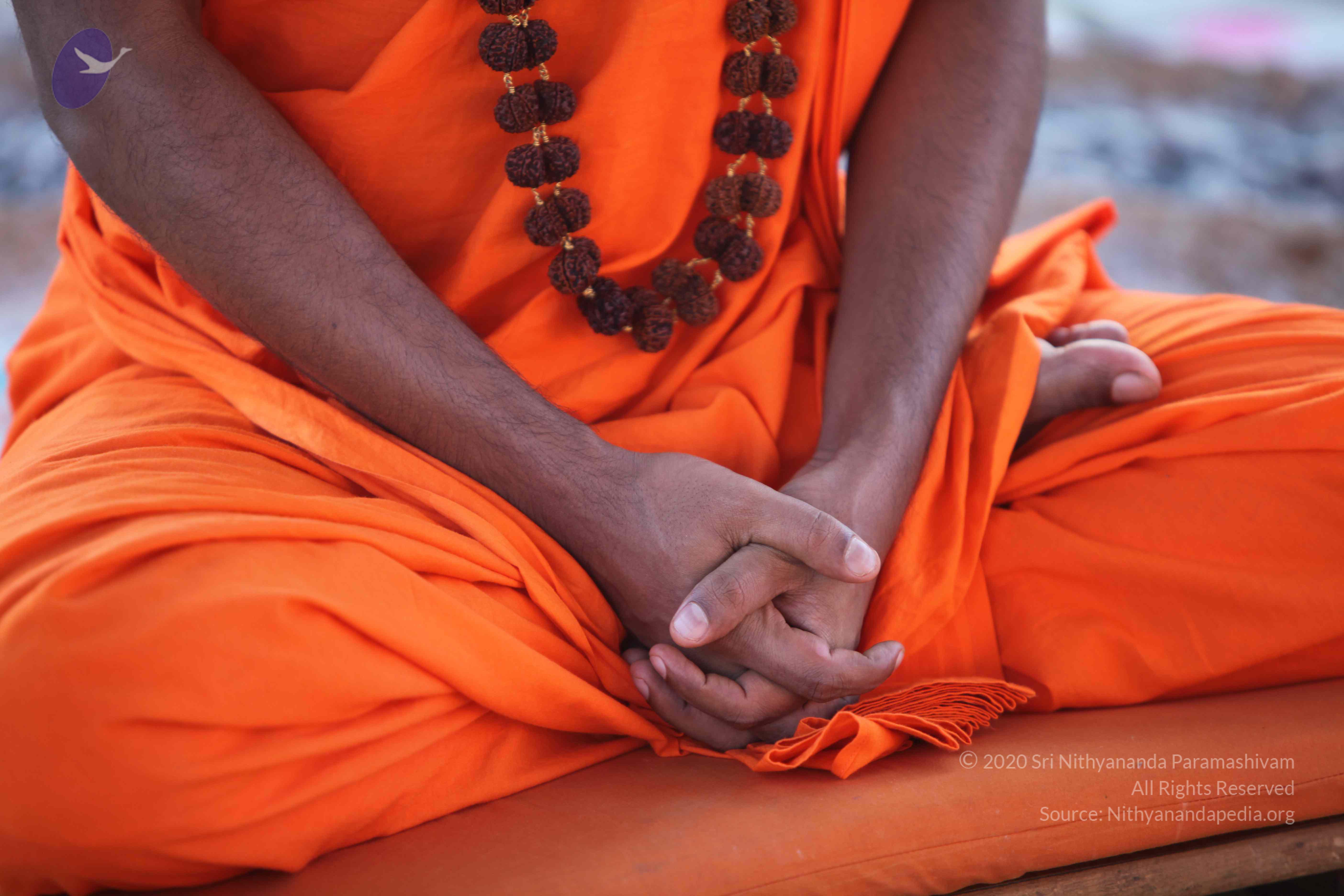 20110201_Photo_1023_IMG_2415_CMP_WM