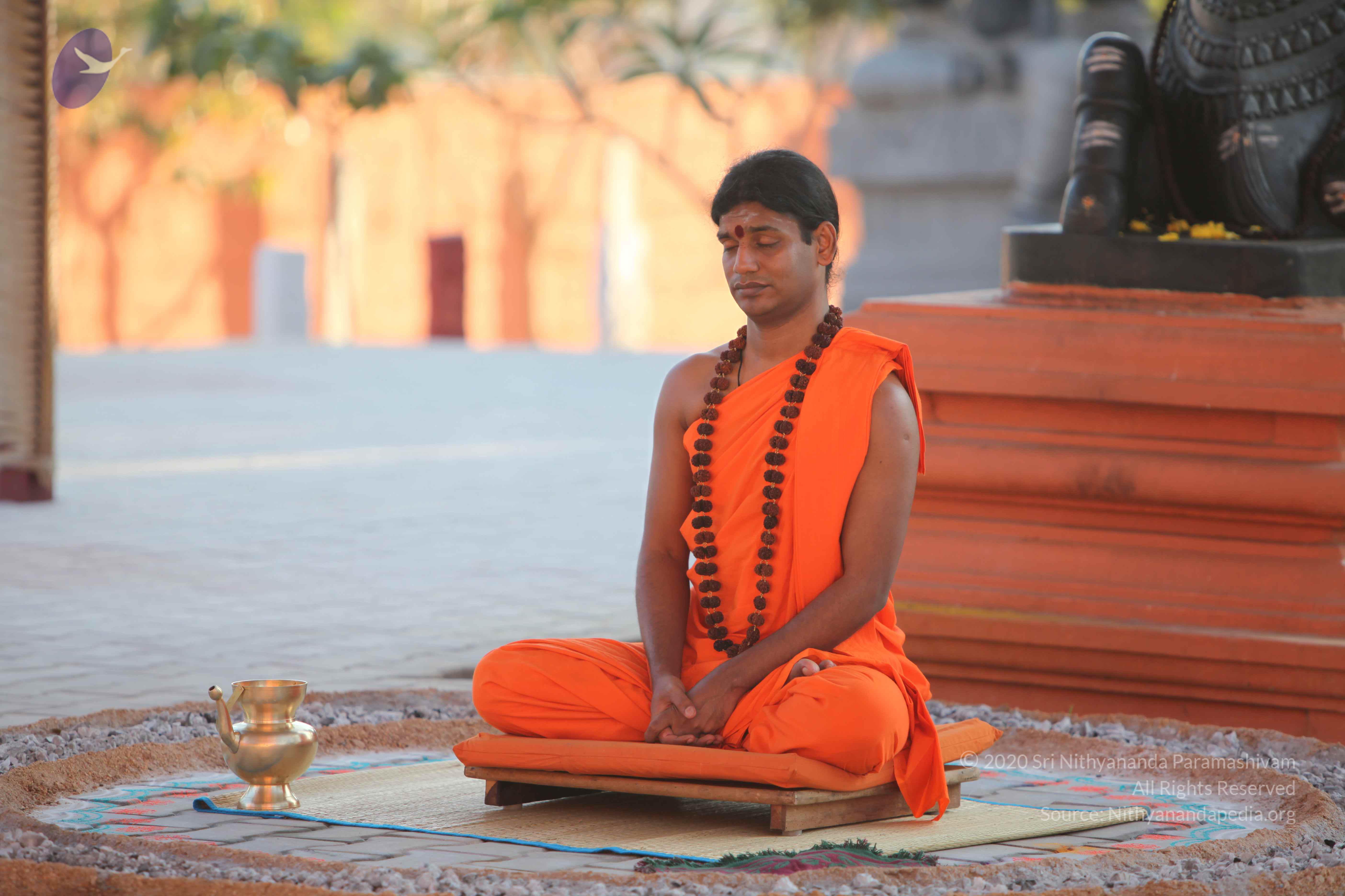 20110201_Photo_1024_IMG_2554_CMP_WM