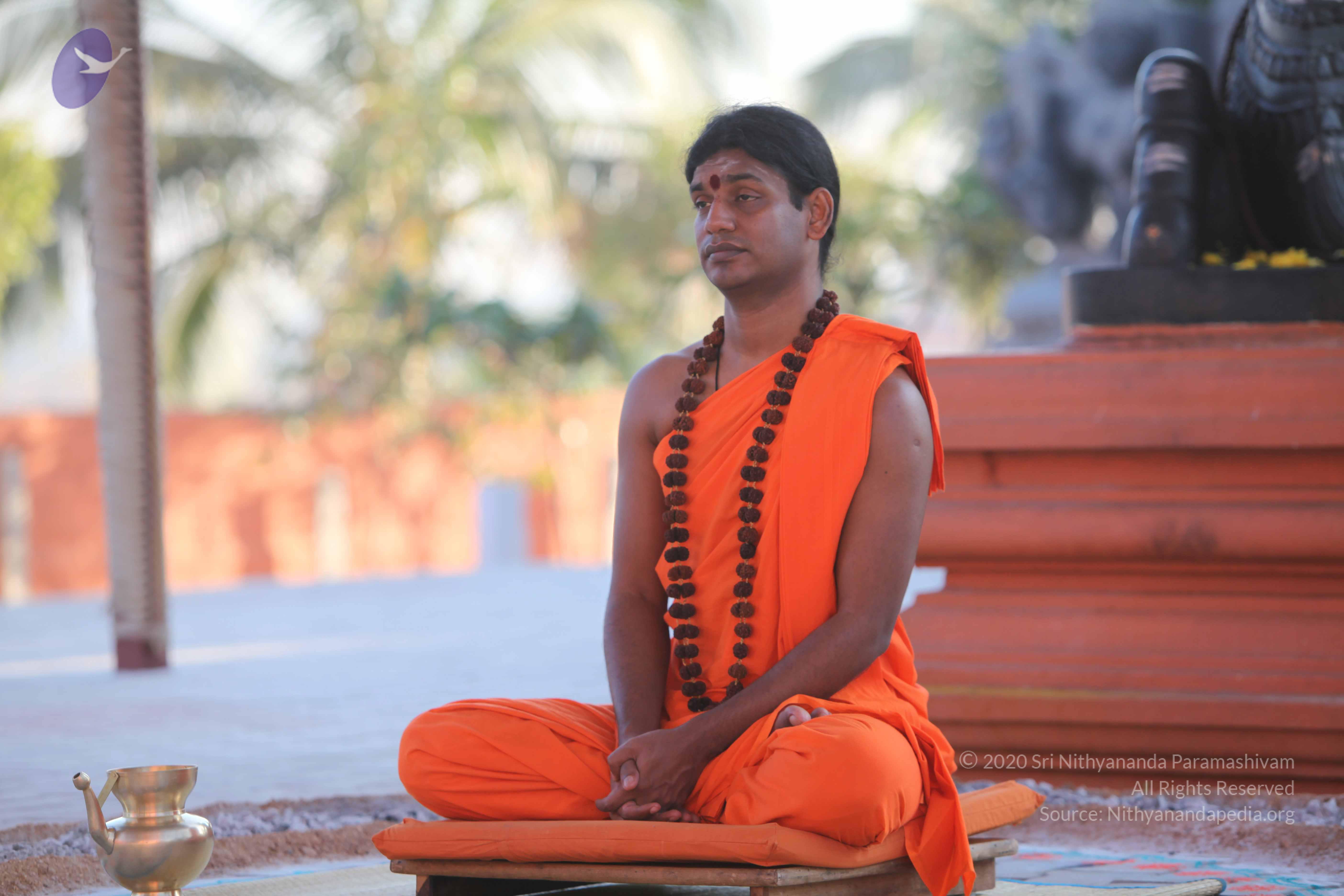 20110201_Photo_1027_IMG_2518_CMP_WM