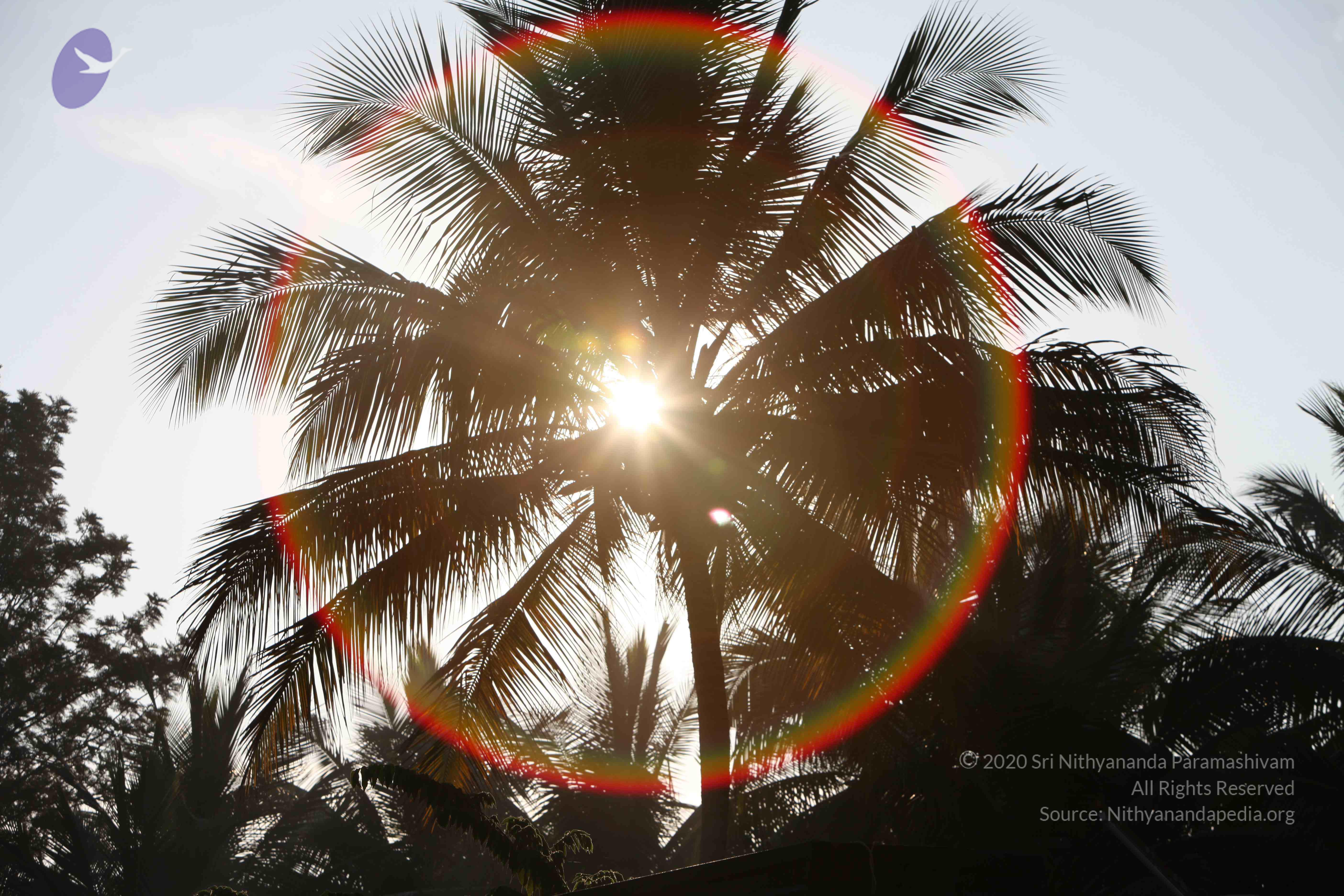 20110201_Photo_1028_IMG_2459_CMP_WM