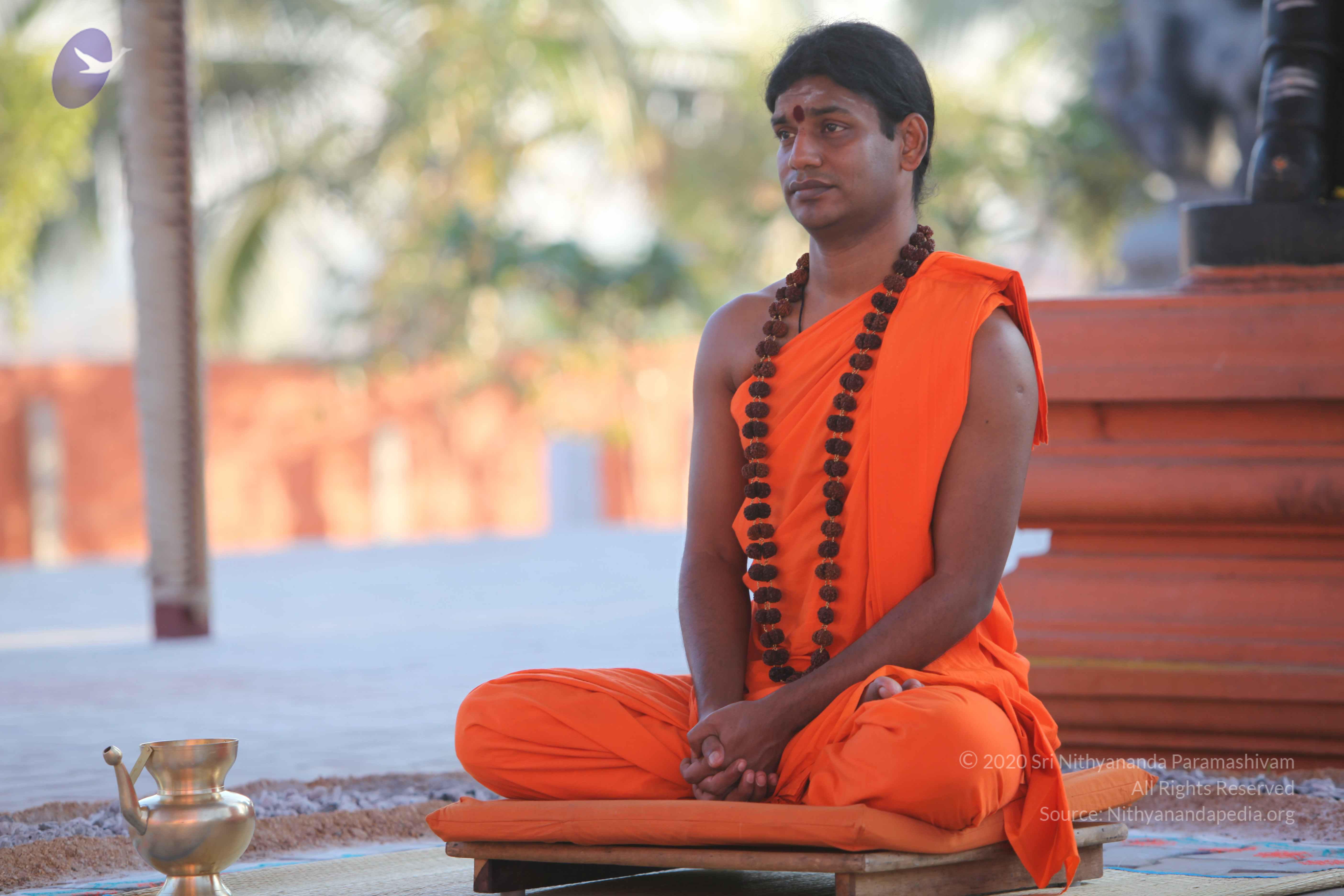 20110201_Photo_1029_IMG_2491_CMP_WM