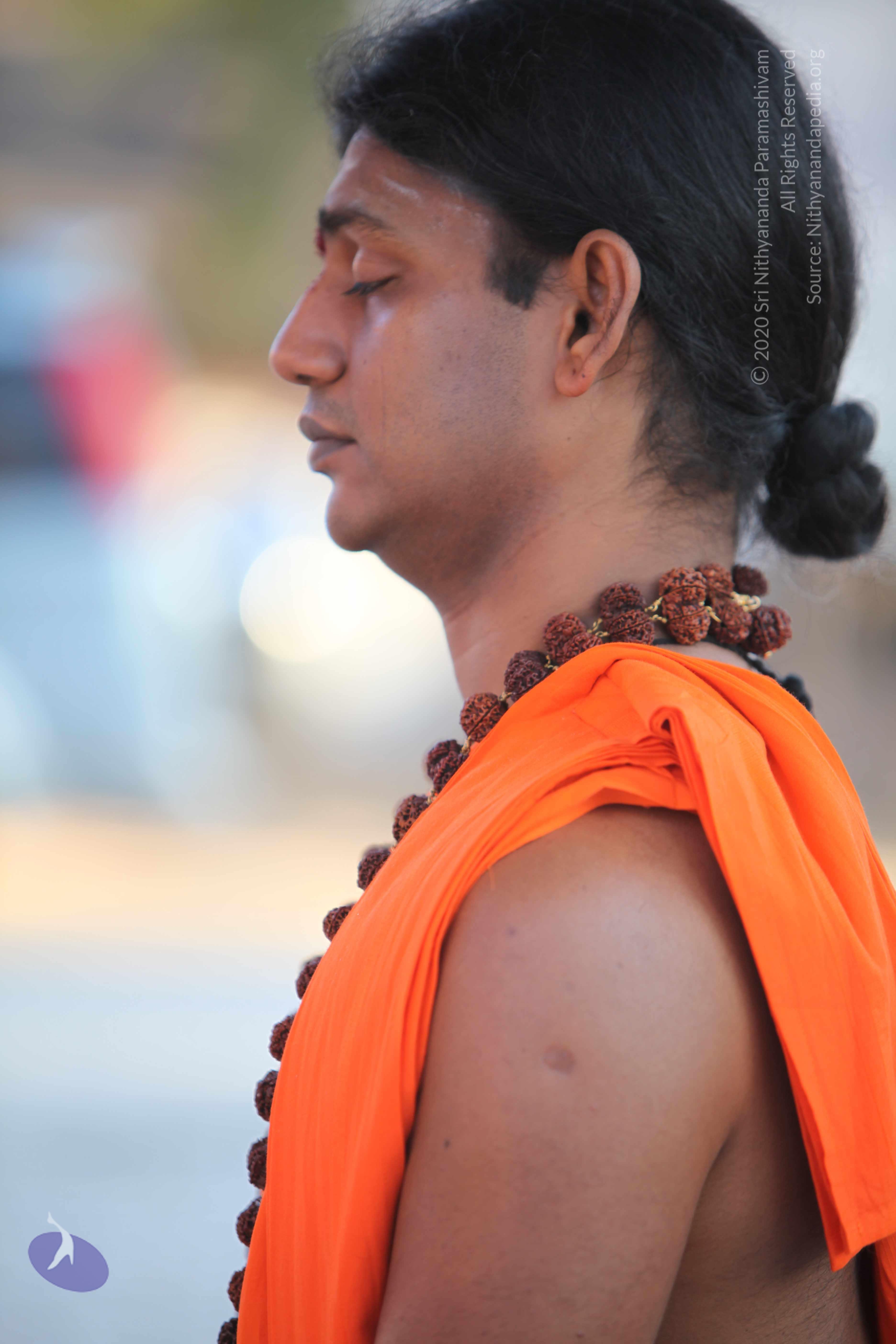 20110201_Photo_1032_IMG_2427_CMP_WM