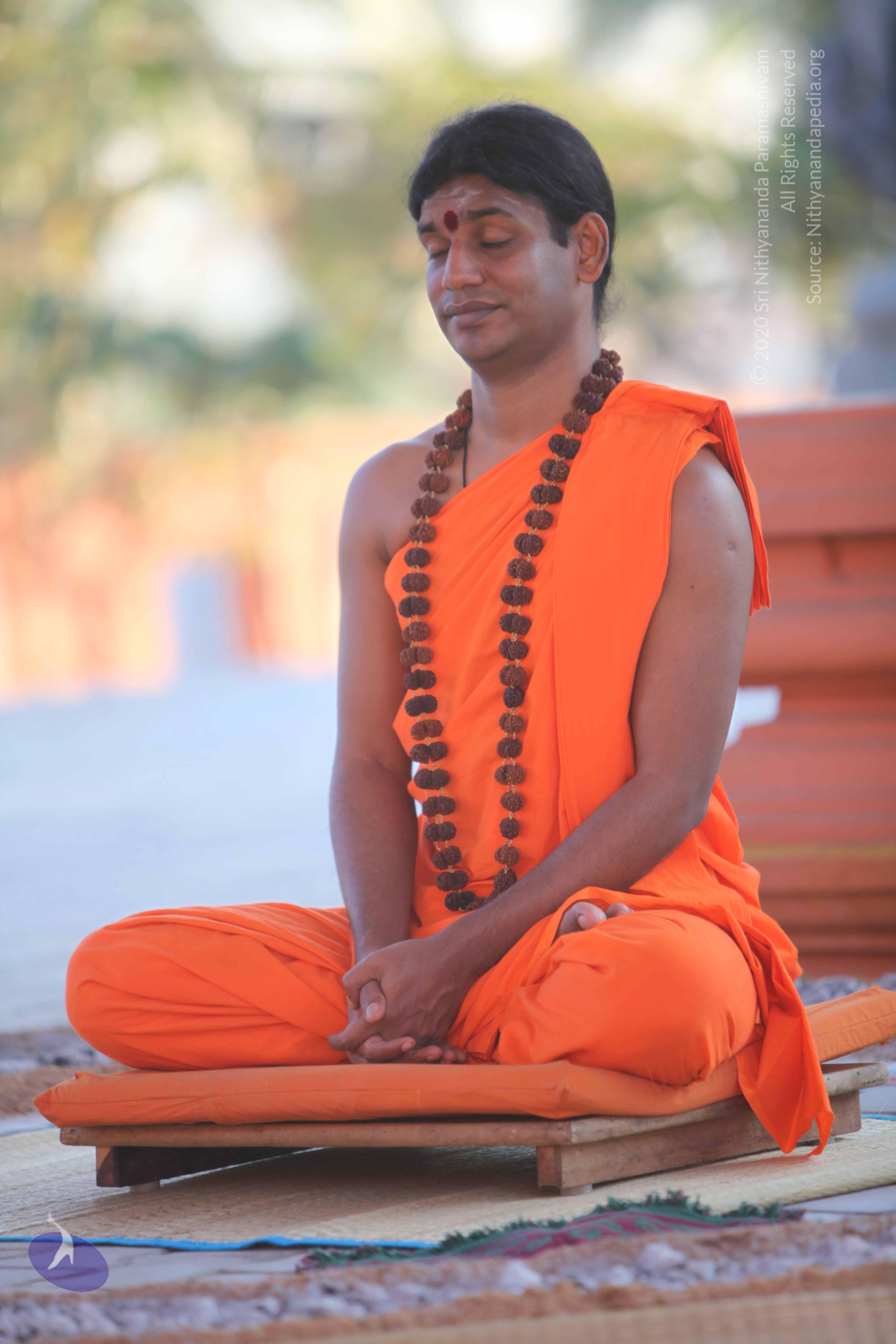 20110201_Photo_1033_IMG_2504_CMP_WM